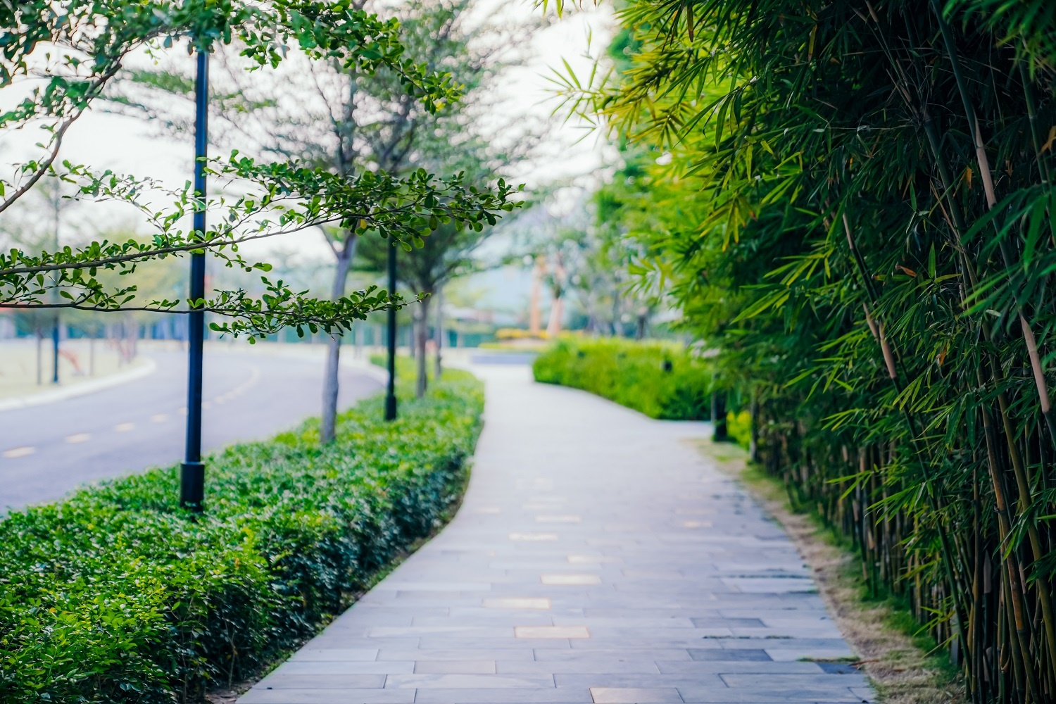 BDS An Gia,  The Standard anh 3