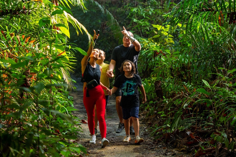 Singapore ảnh 7 Singapore anh 7