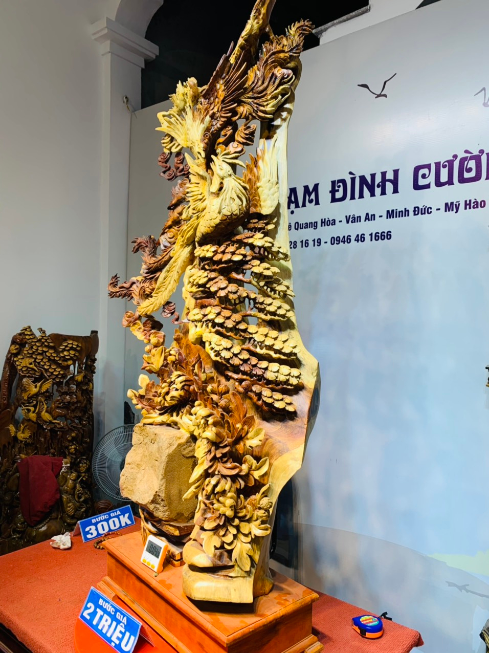 pham dinh cuong,  do go anh 5