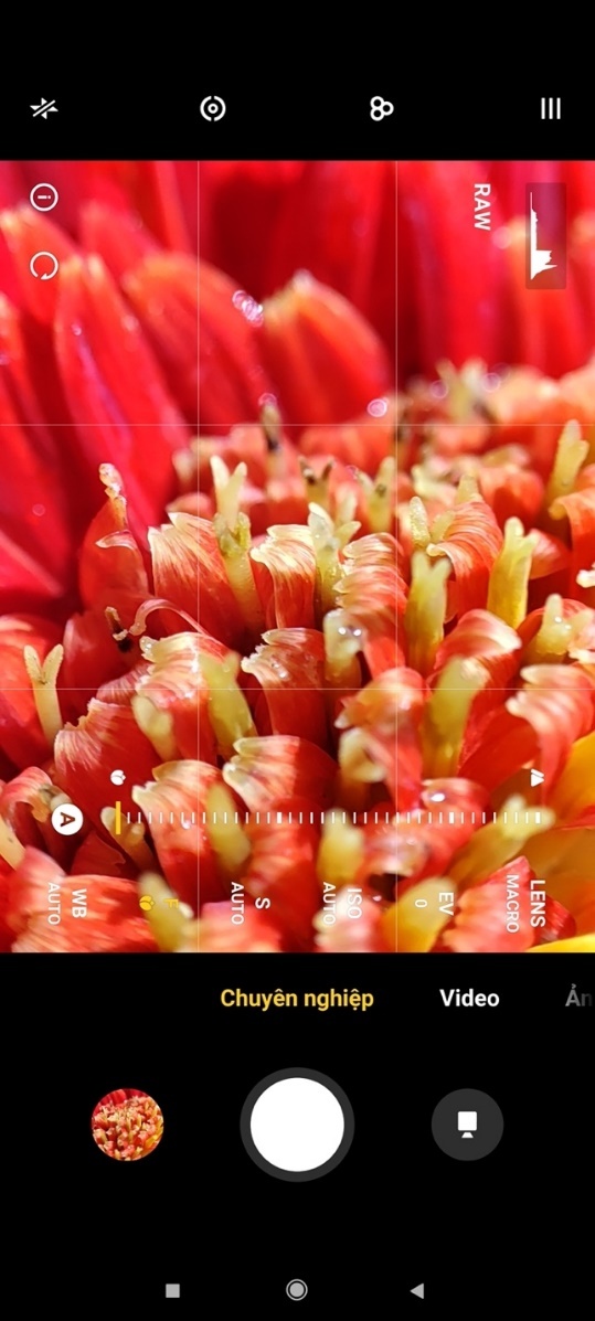 Xiaomi Mi 11,  camera macro anh 3