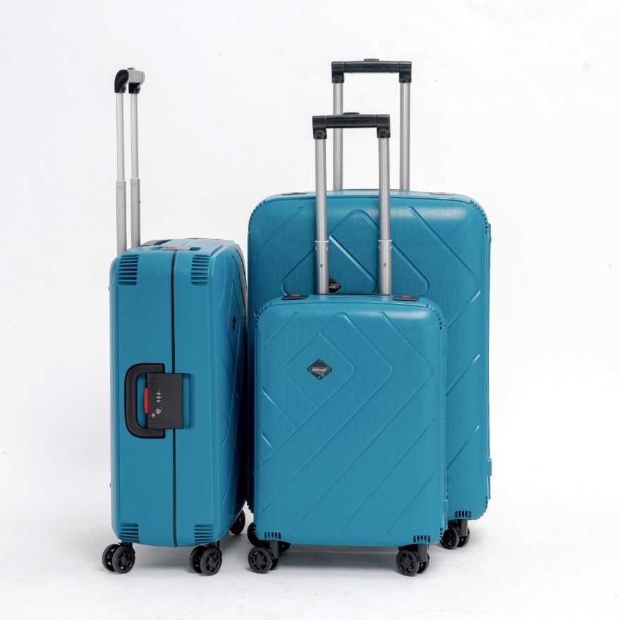 Sunny Vali,  chon vali anh 4