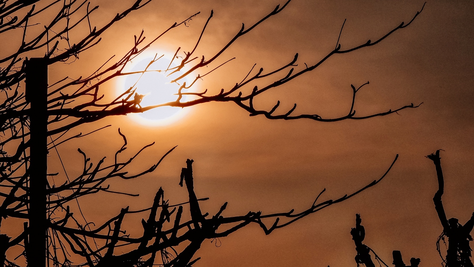 Galaxy S21 Ultra anh 12