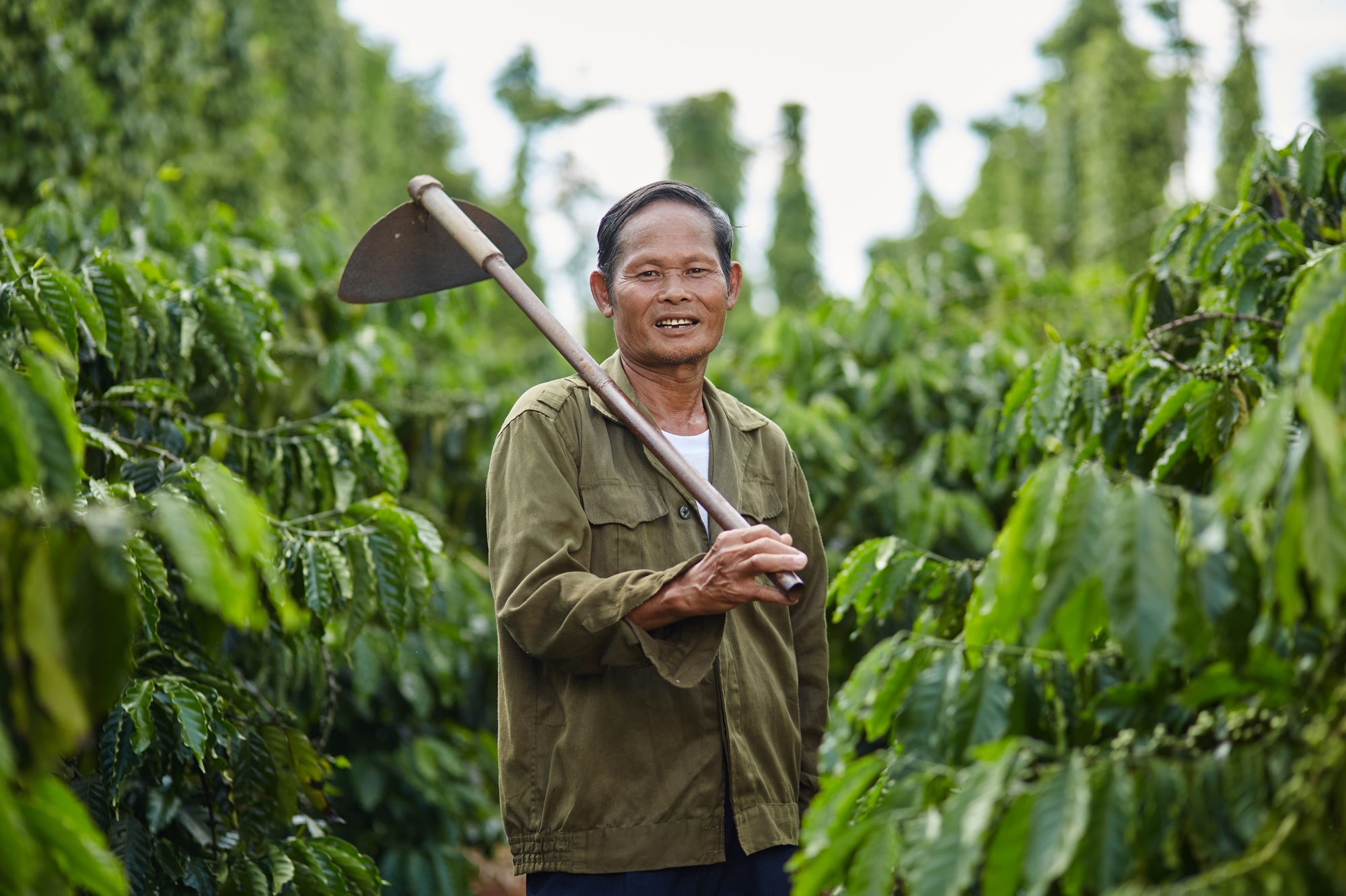 Nestle Viet Nam,  Chi Nest anh 8