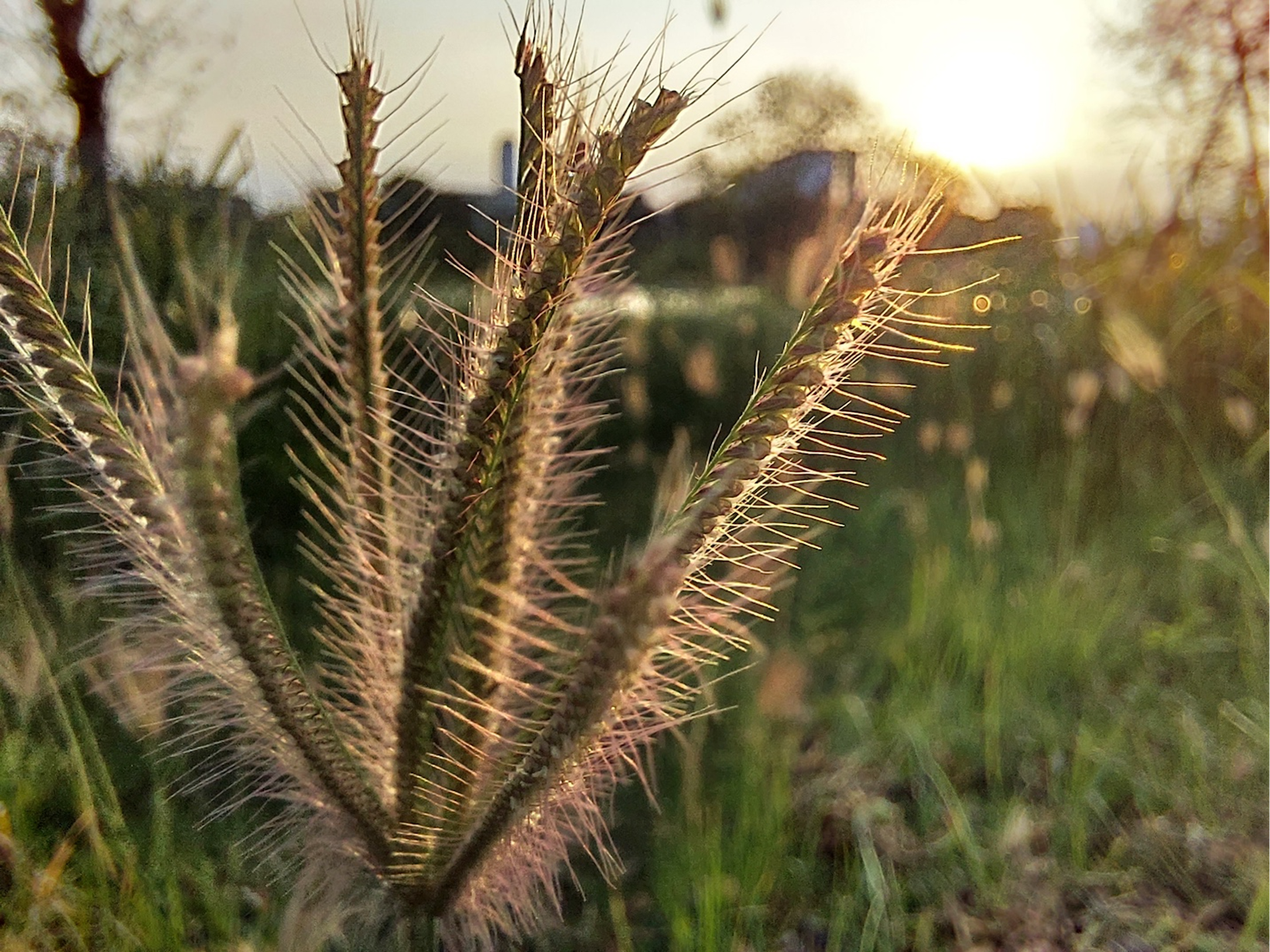 Samsung A72 duoc nang cap camera anh 13