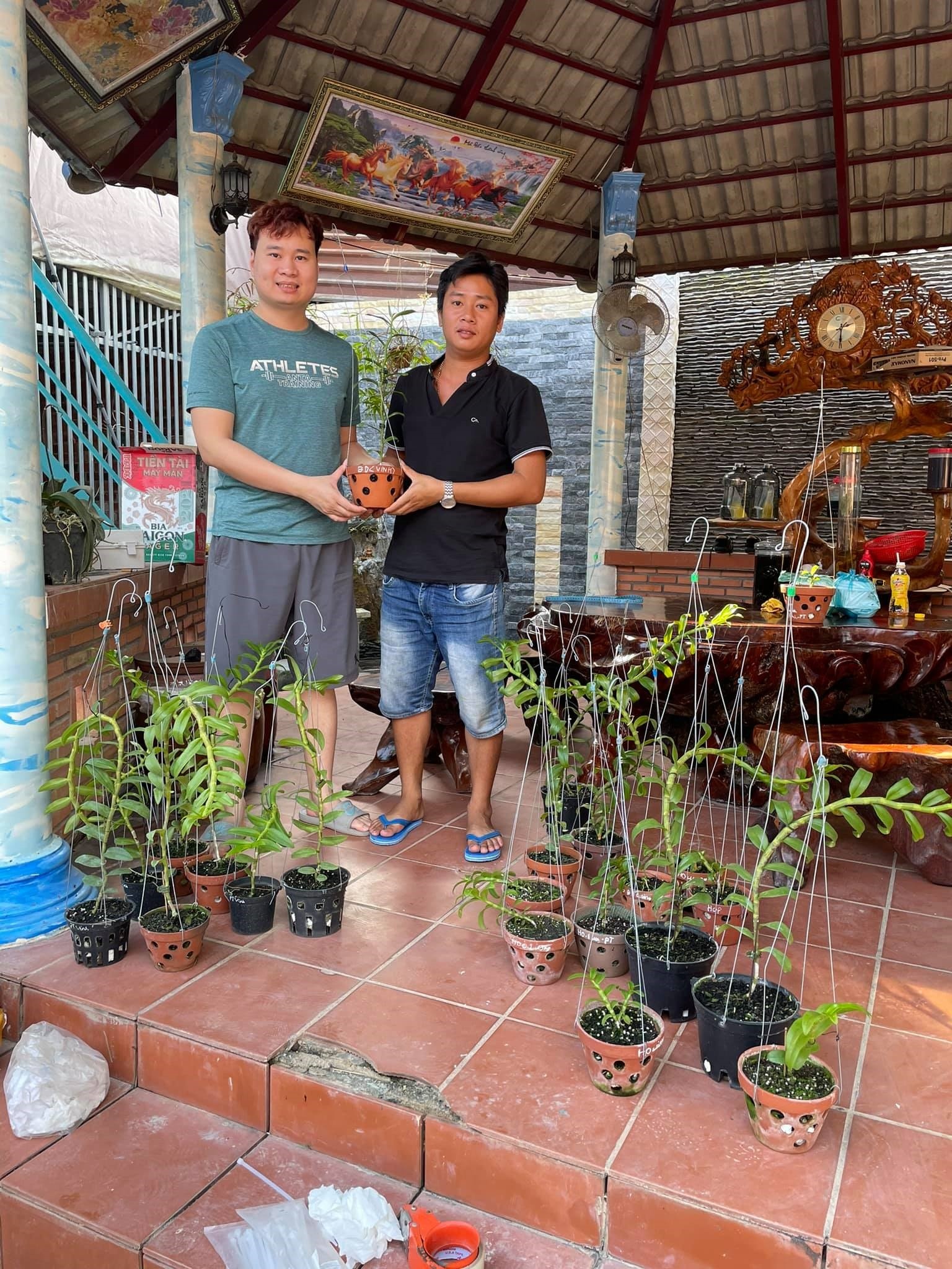 Vuon lan Tran Vinh anh 2