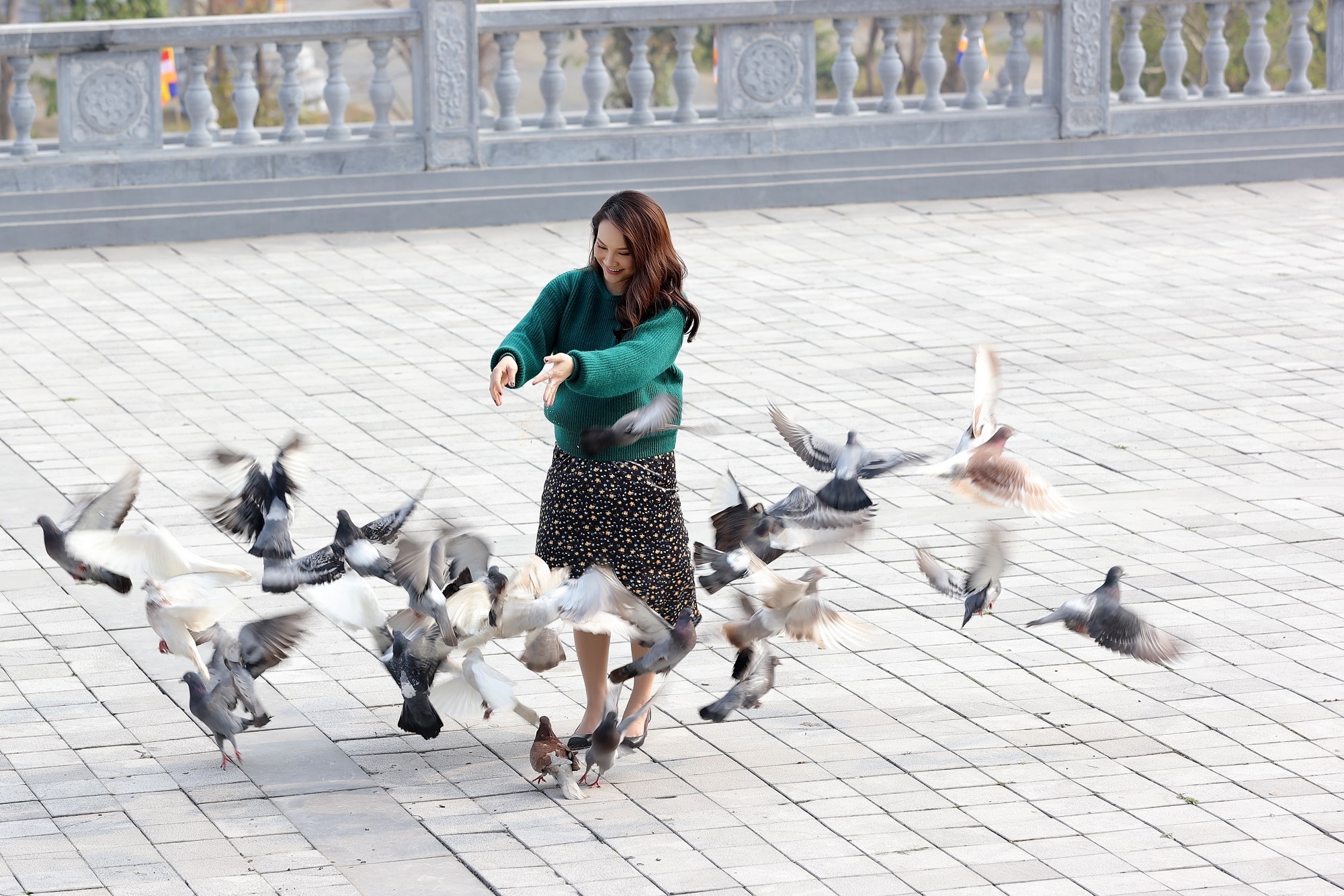 Tam Chuc - Bai Dinh - Trang An anh 5