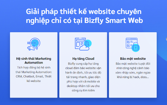 Bizfly,  thiet ke website anh 3