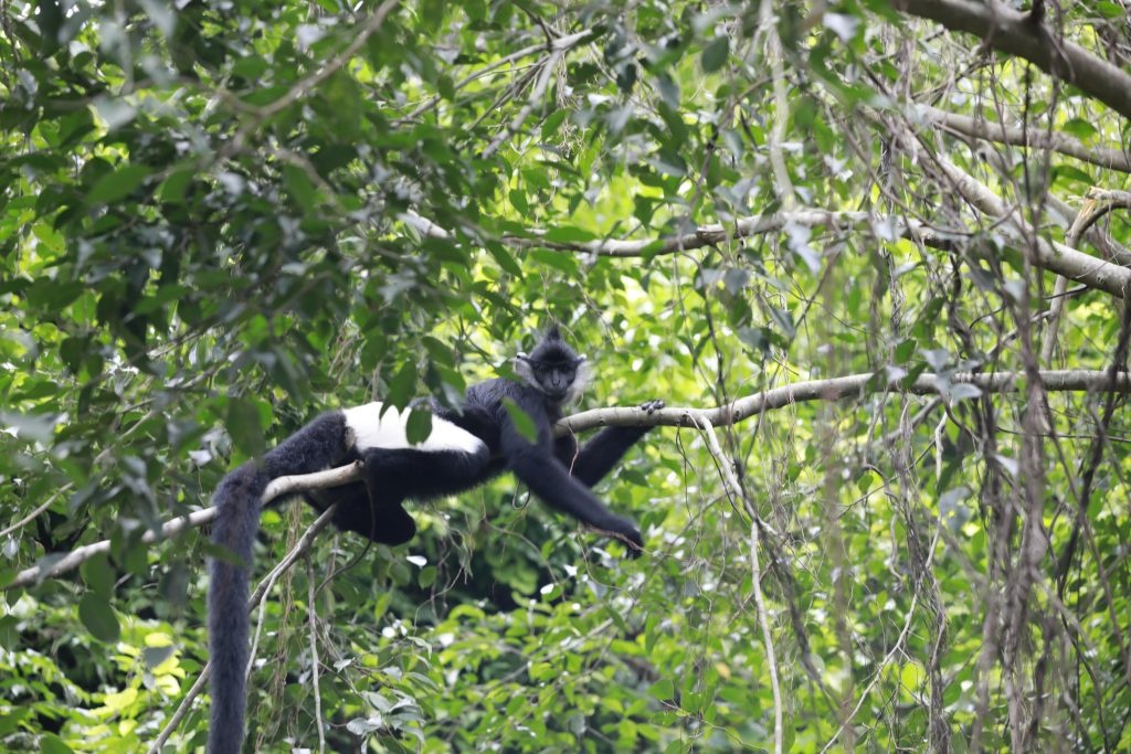 Tam Chuc - Bai Dinh - Trang An anh 2