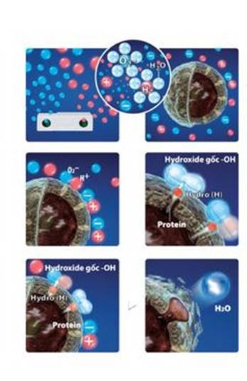 Sharp,  may loc khong khi anh 2