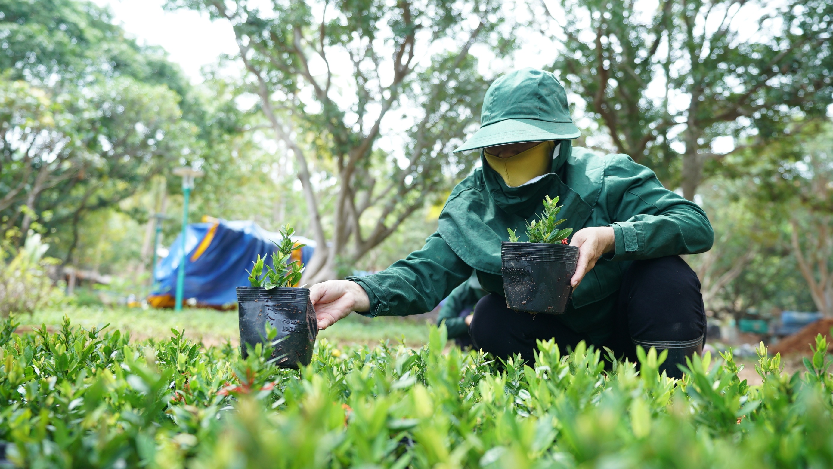 Sun Group,  New World Phu Quoc Resort anh 2