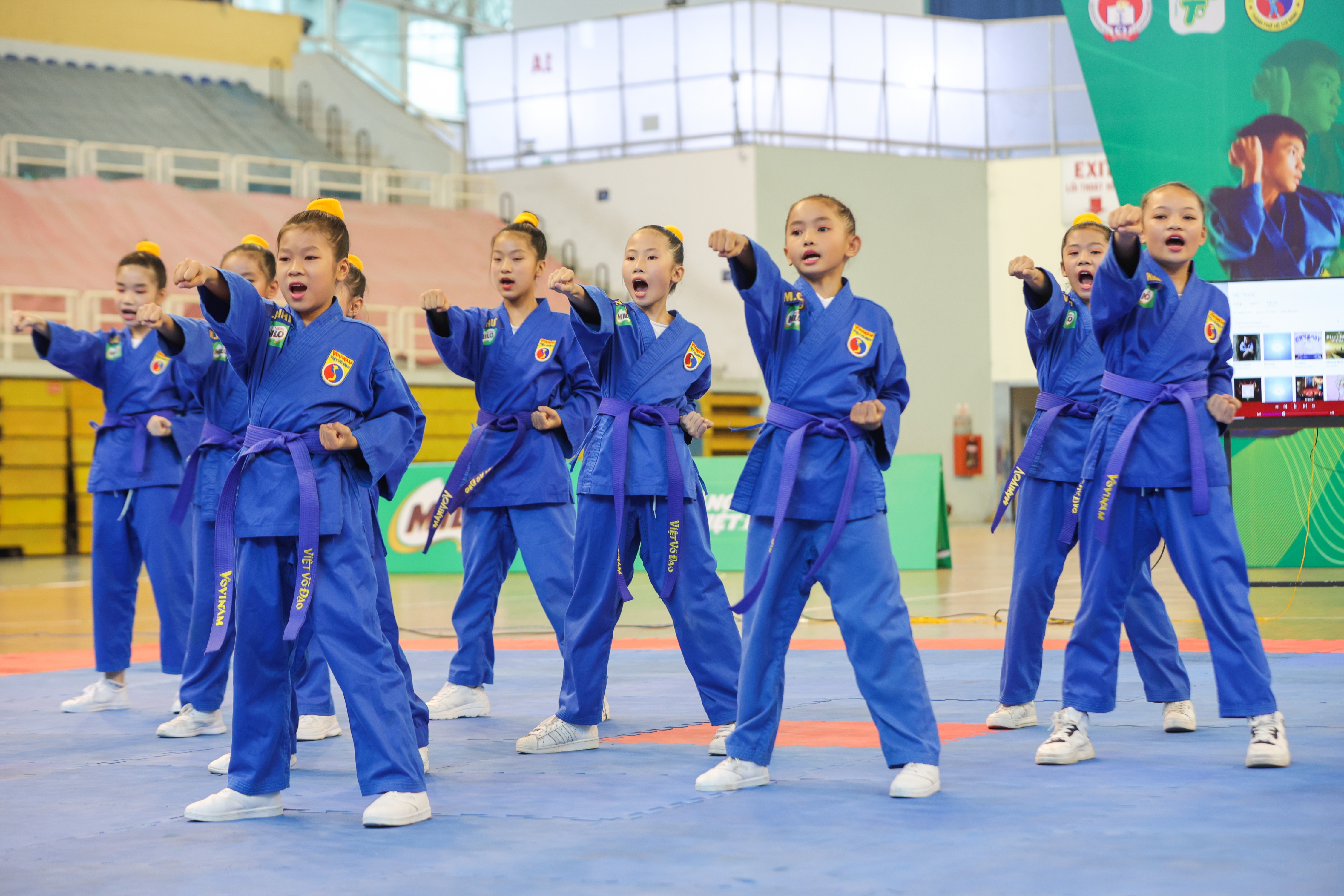 1.500 hoc sinh tham gia Hoi khoe Phu Dong mon Vovinam hinh anh