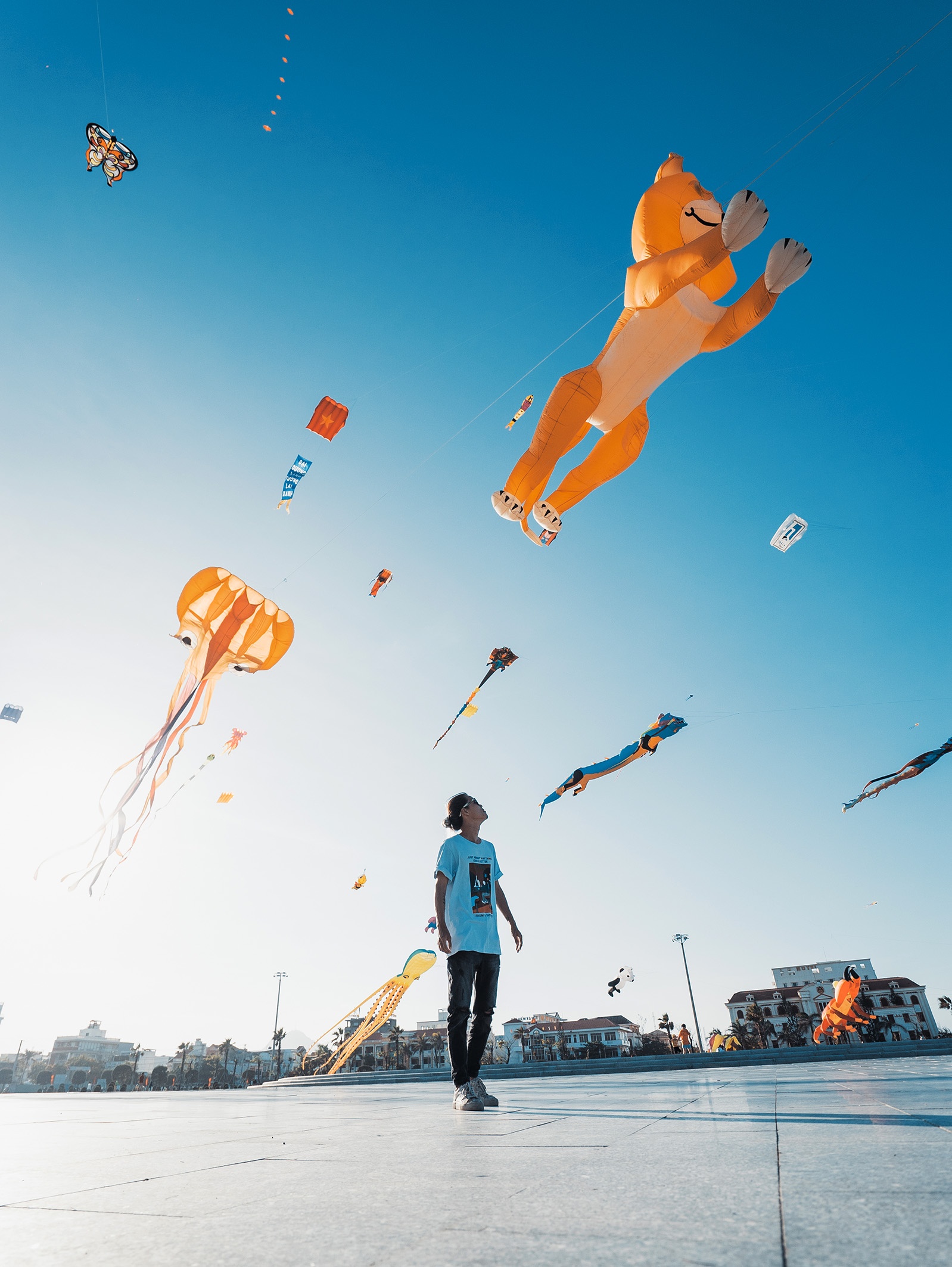 LG,  LG XBoom Go anh 3