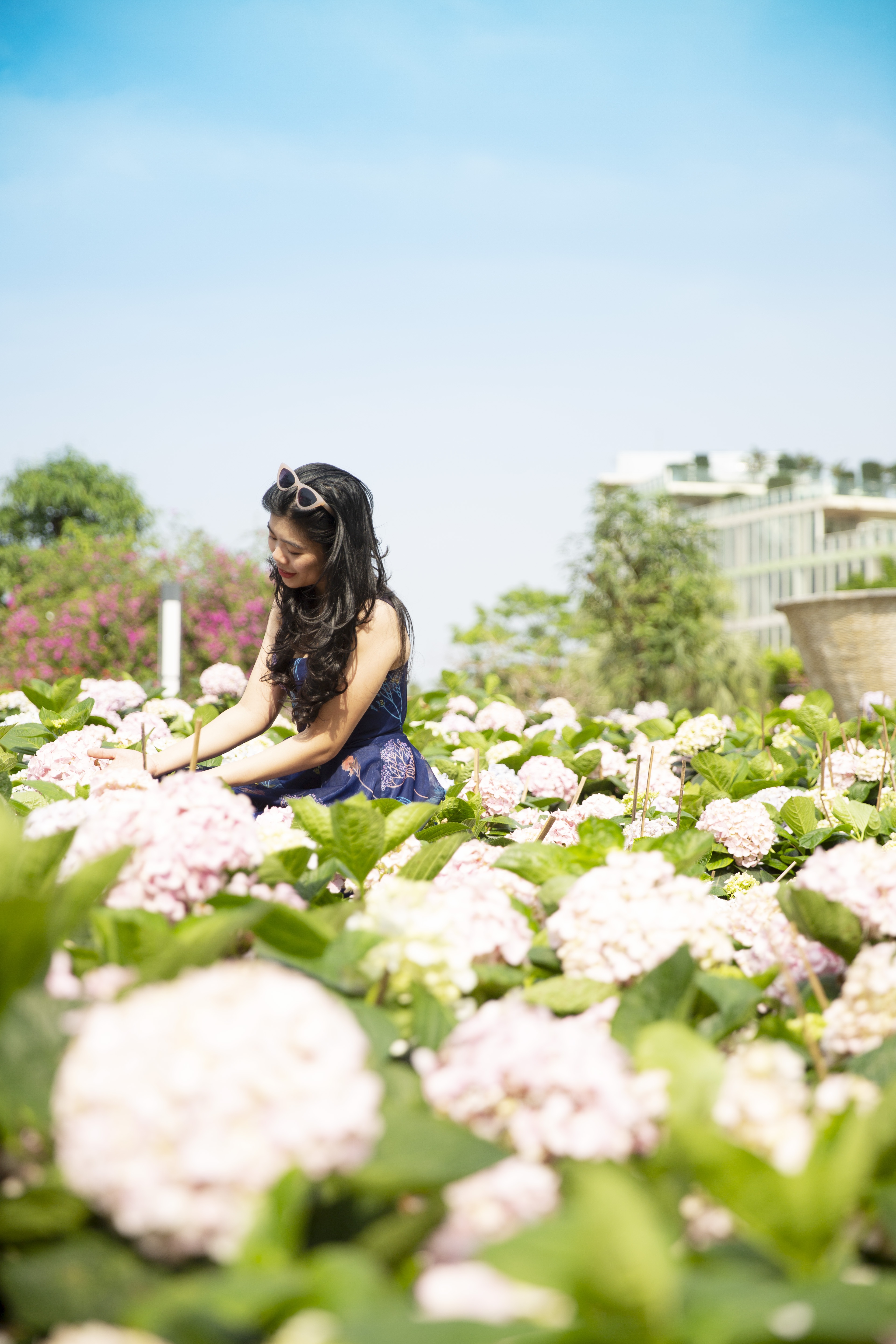 FLC,  FLC Sam Son anh 5