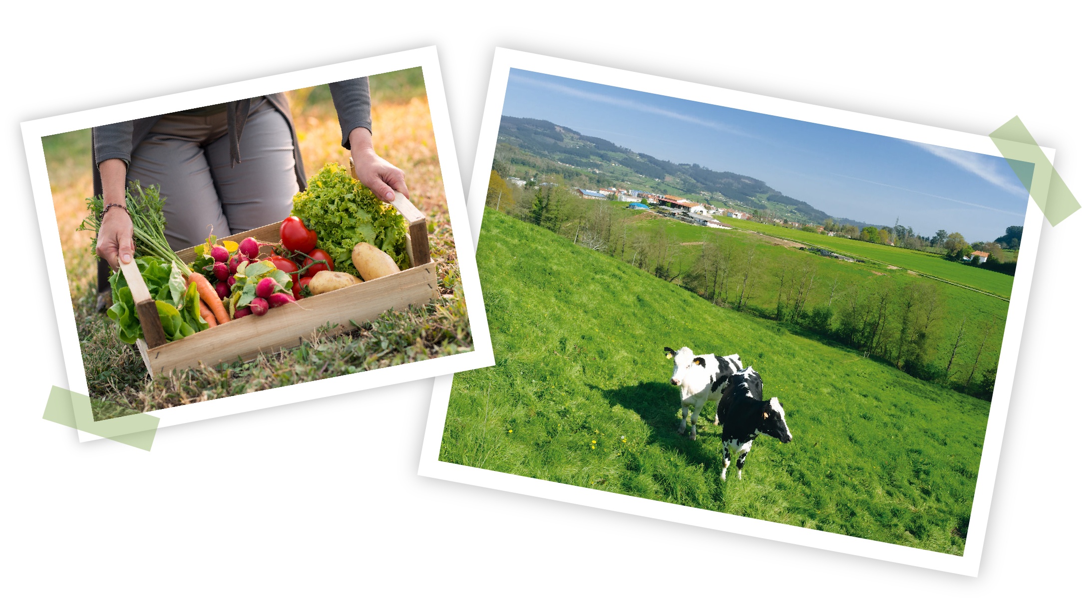 NAN Organic,  song xanh sach khoe anh 1