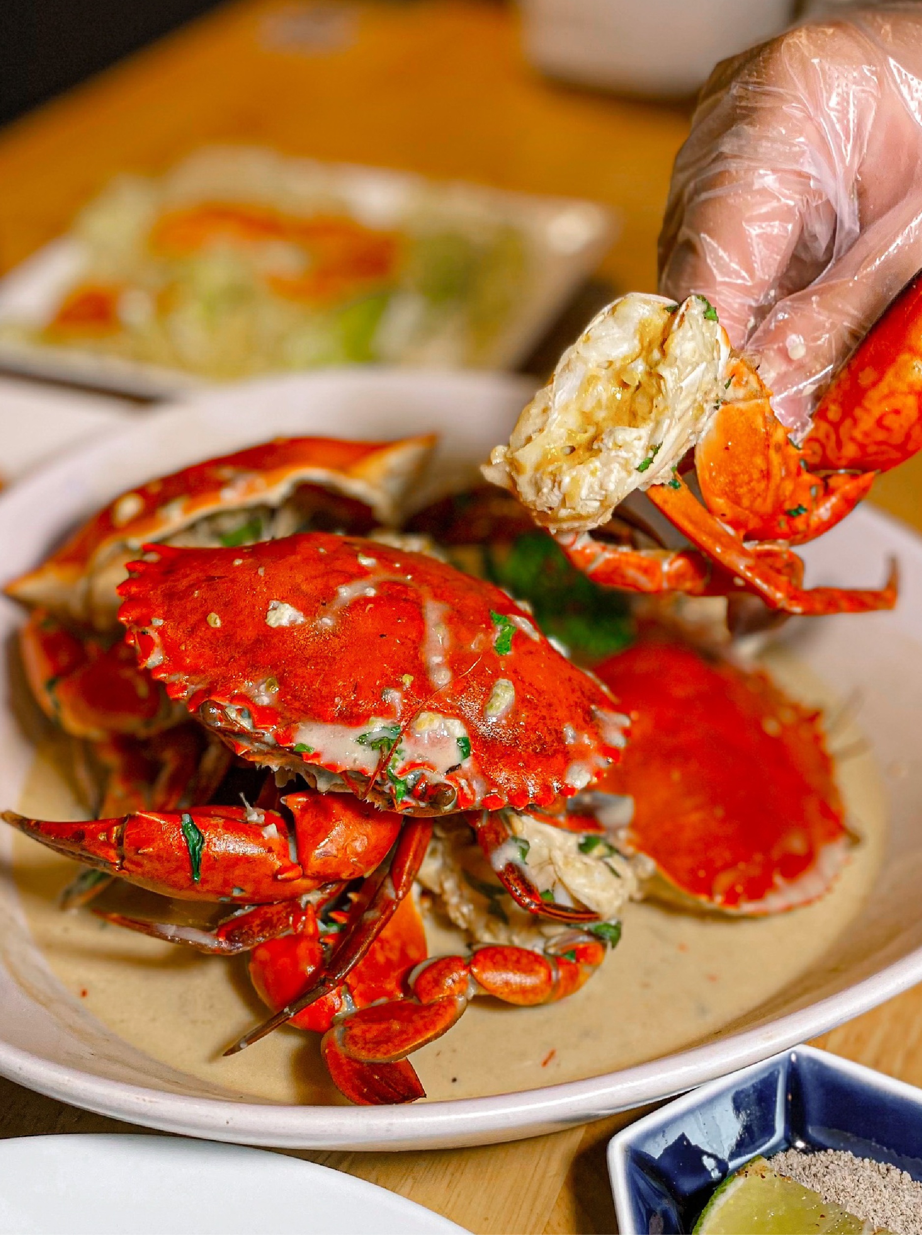 vua cua,  cua cà mau ảnh 1 vua cua,  cua ca mau anh 1