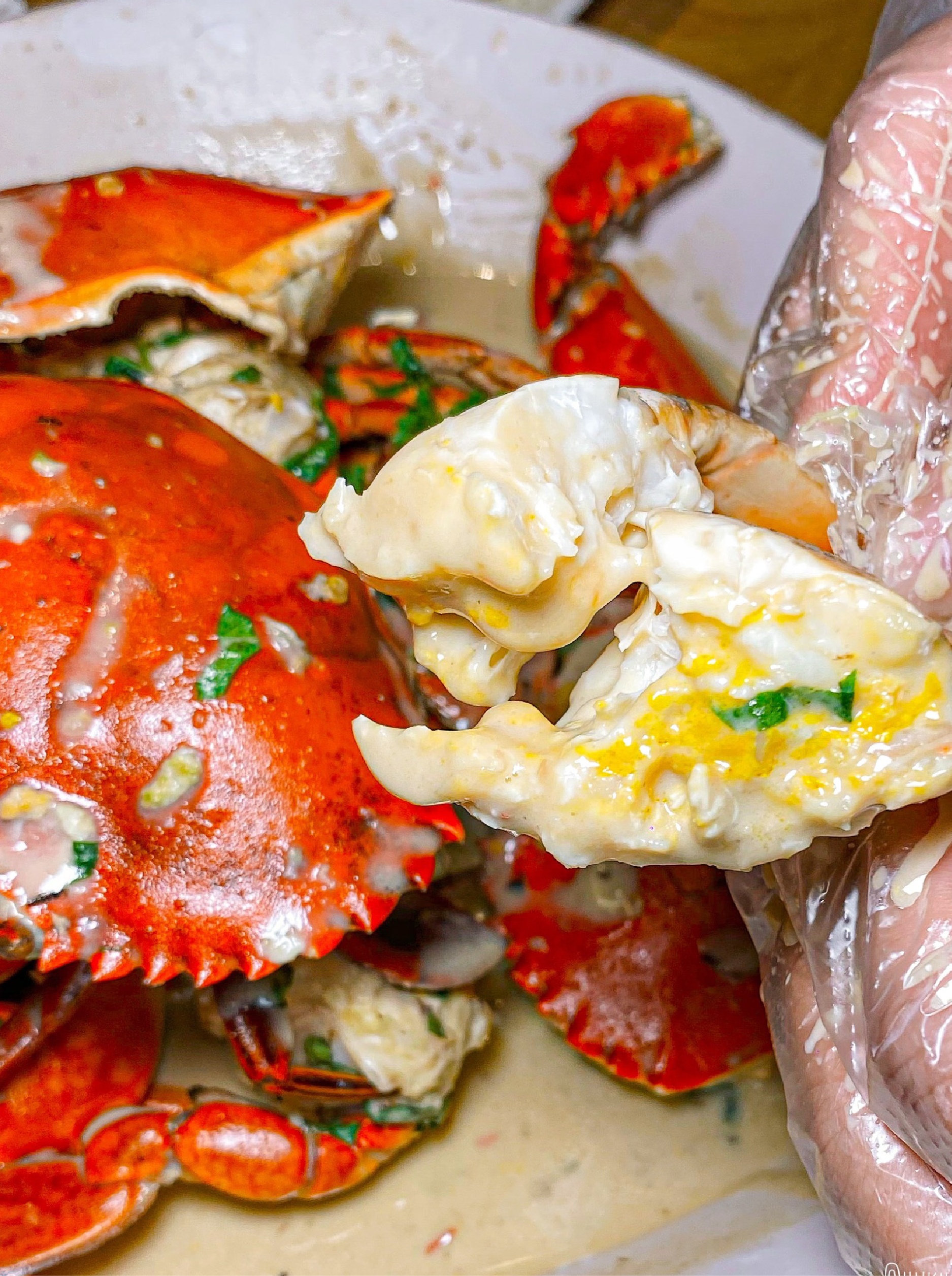 vua cua,  cua cà mau ảnh 2 vua cua,  cua ca mau anh 2