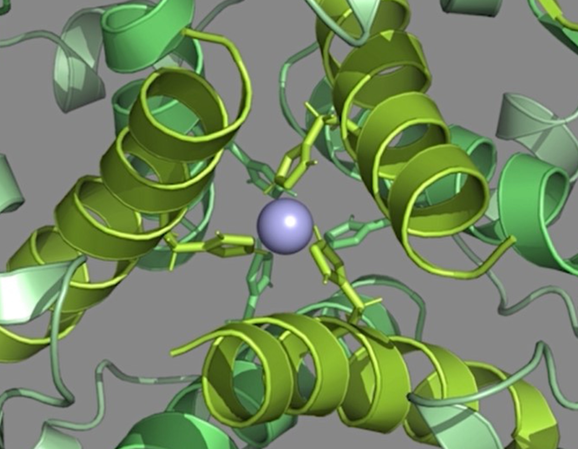 sanofi,  insulin anh 4