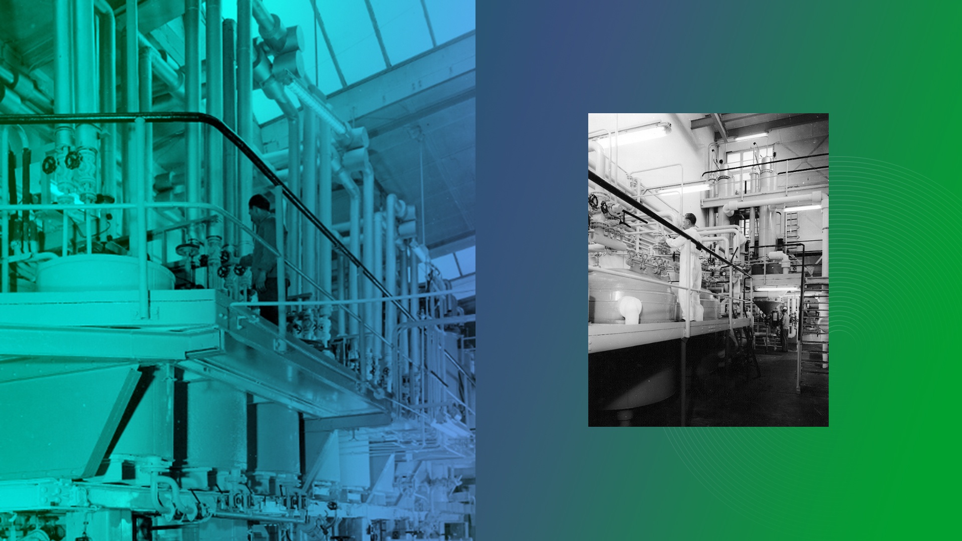 sanofi,  insulin anh 3