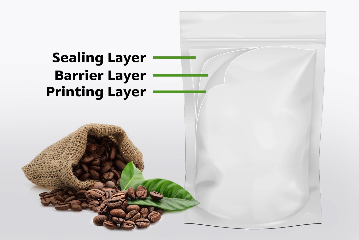 SCG ảnh 6 SCG anh 6