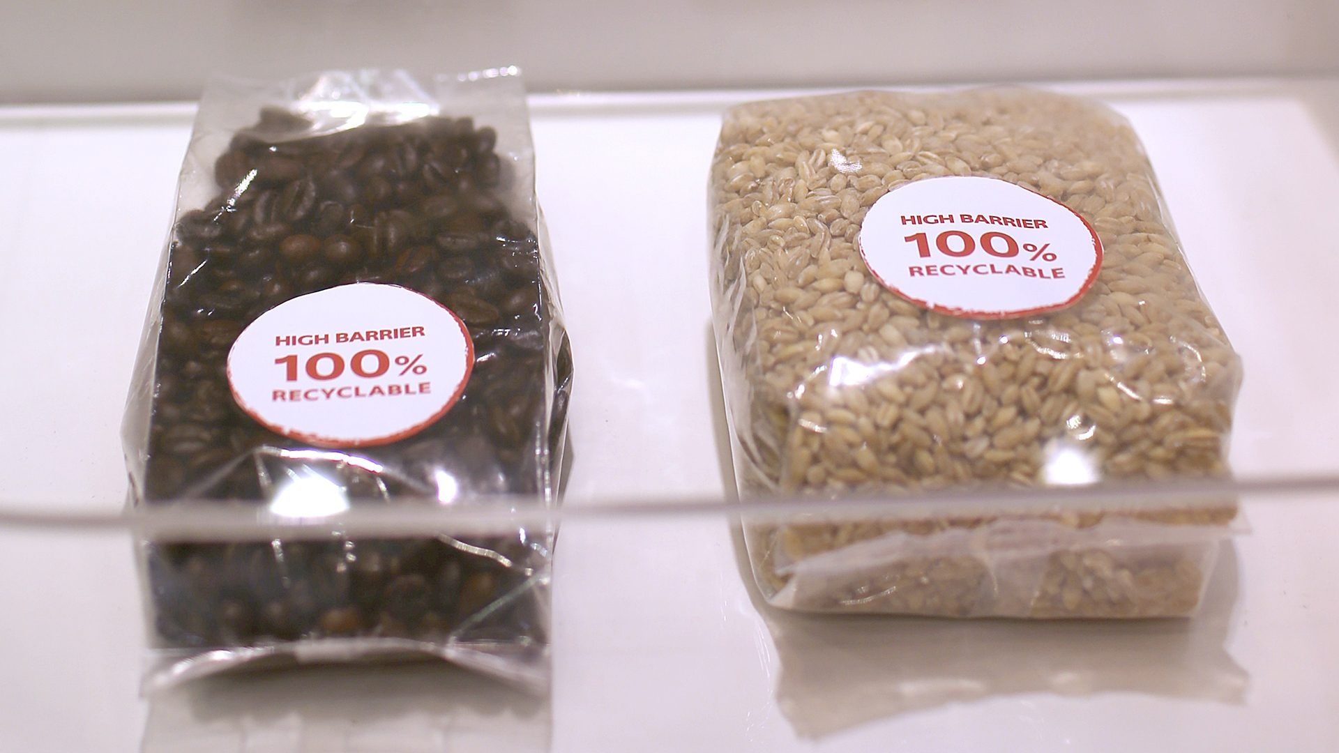 SCG ảnh 5 SCG anh 5