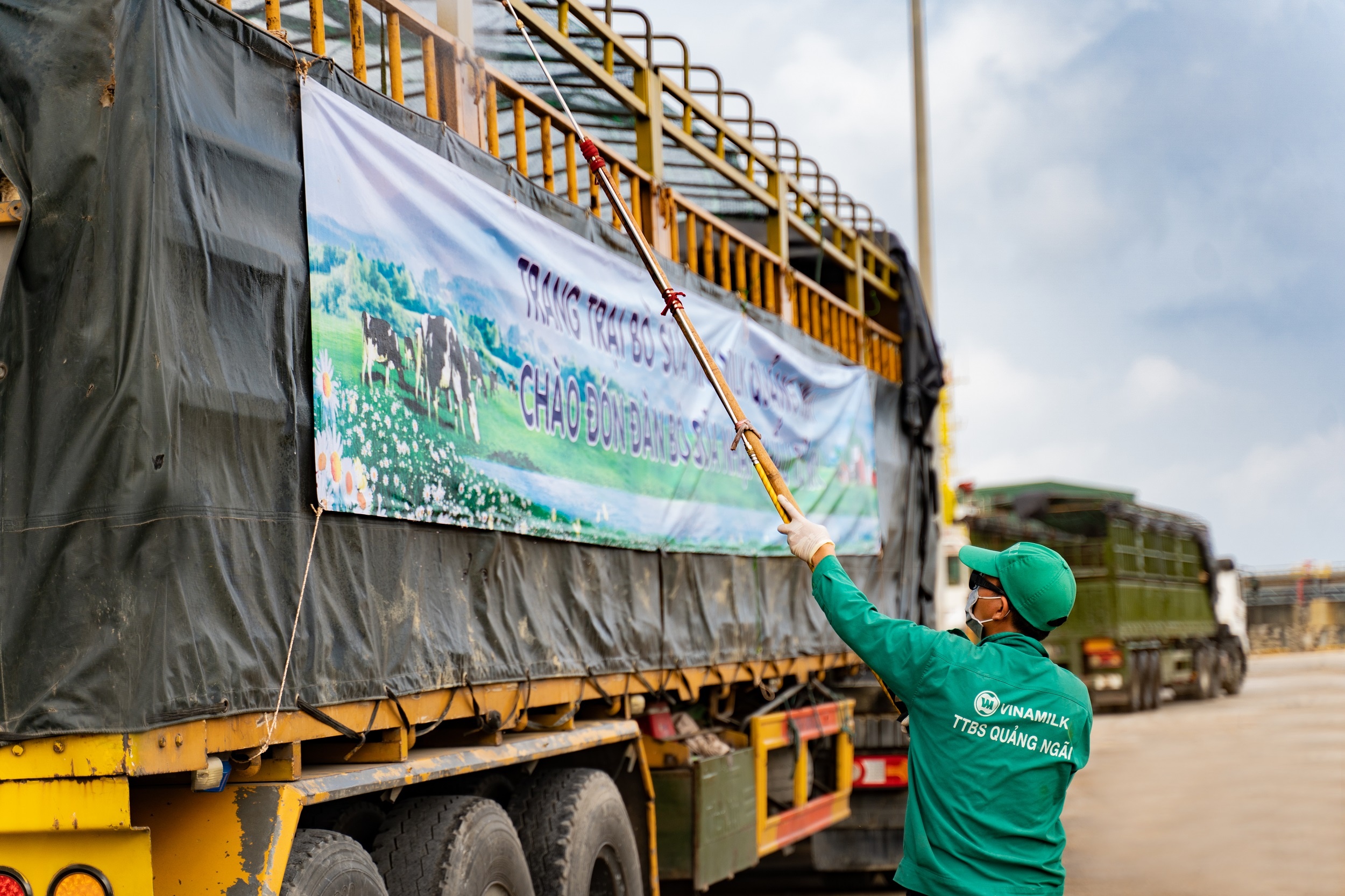 Vinamilk ảnh 4 Vinamilk anh 4