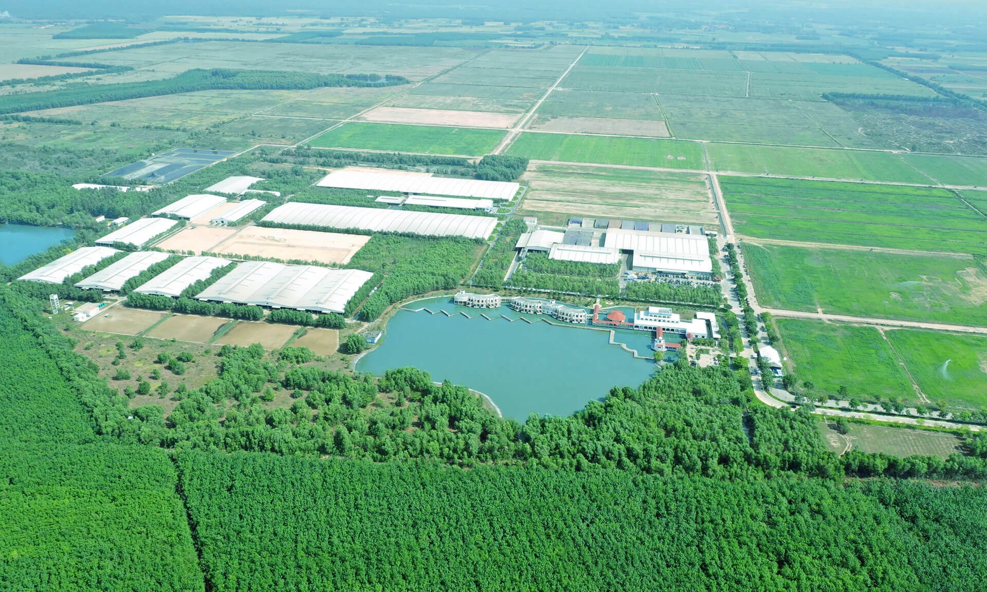 Vinamilk ảnh 6 Vinamilk anh 6
