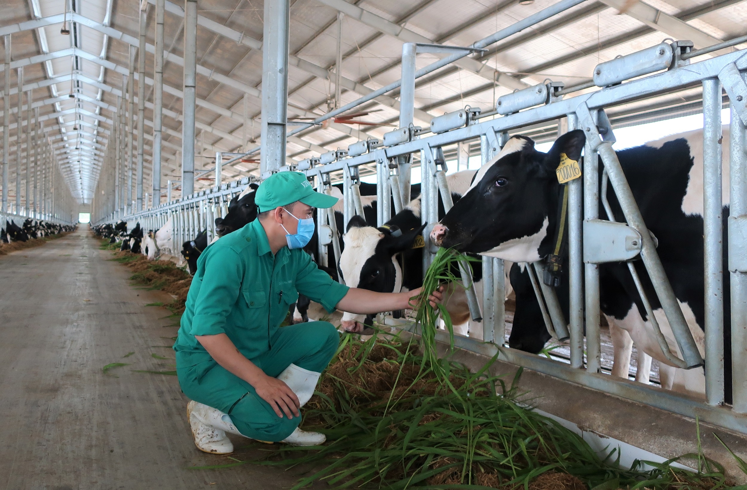 Vinamilk ảnh 7 Vinamilk anh 7