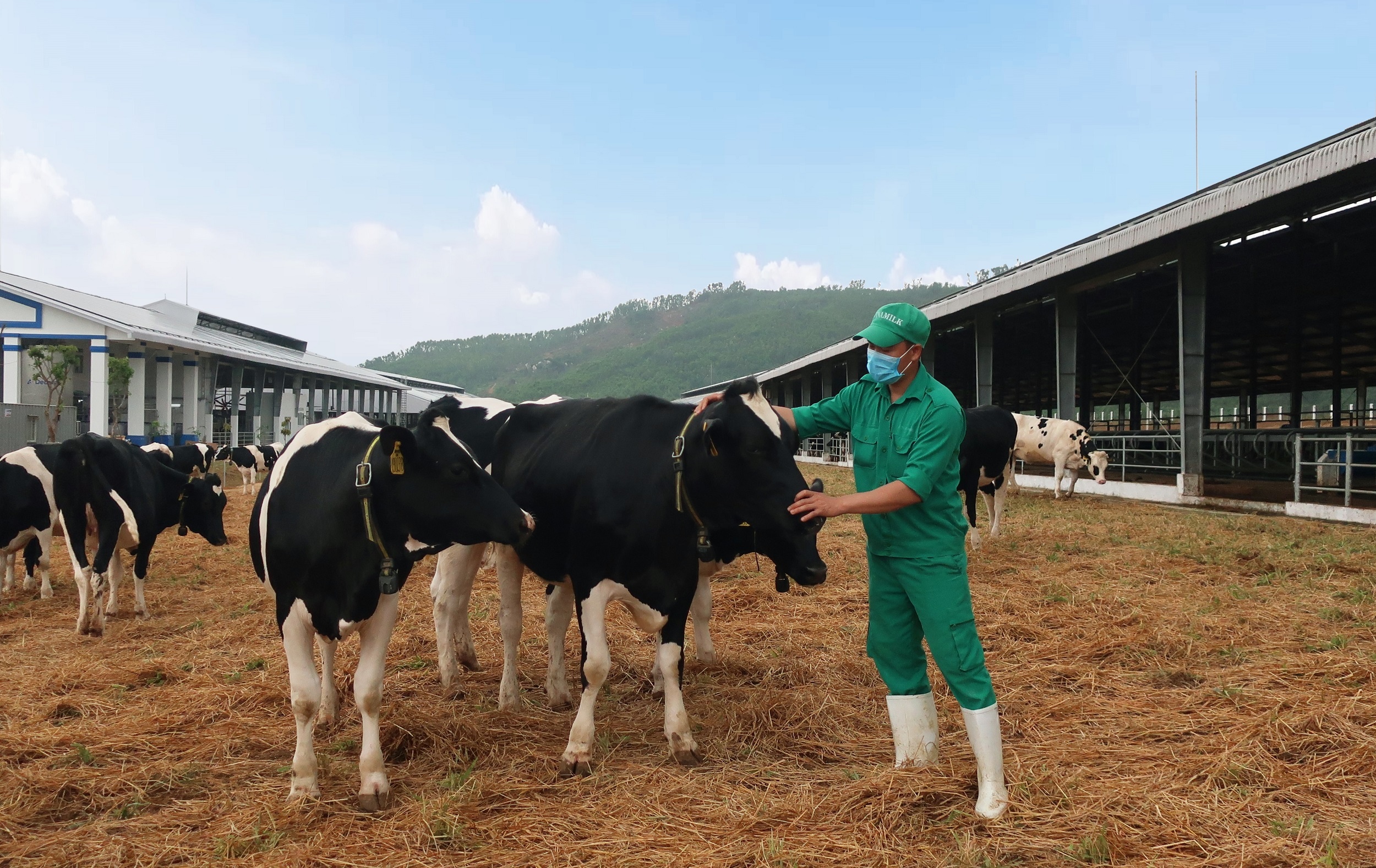 Vinamilk ảnh 12 Vinamilk anh 12