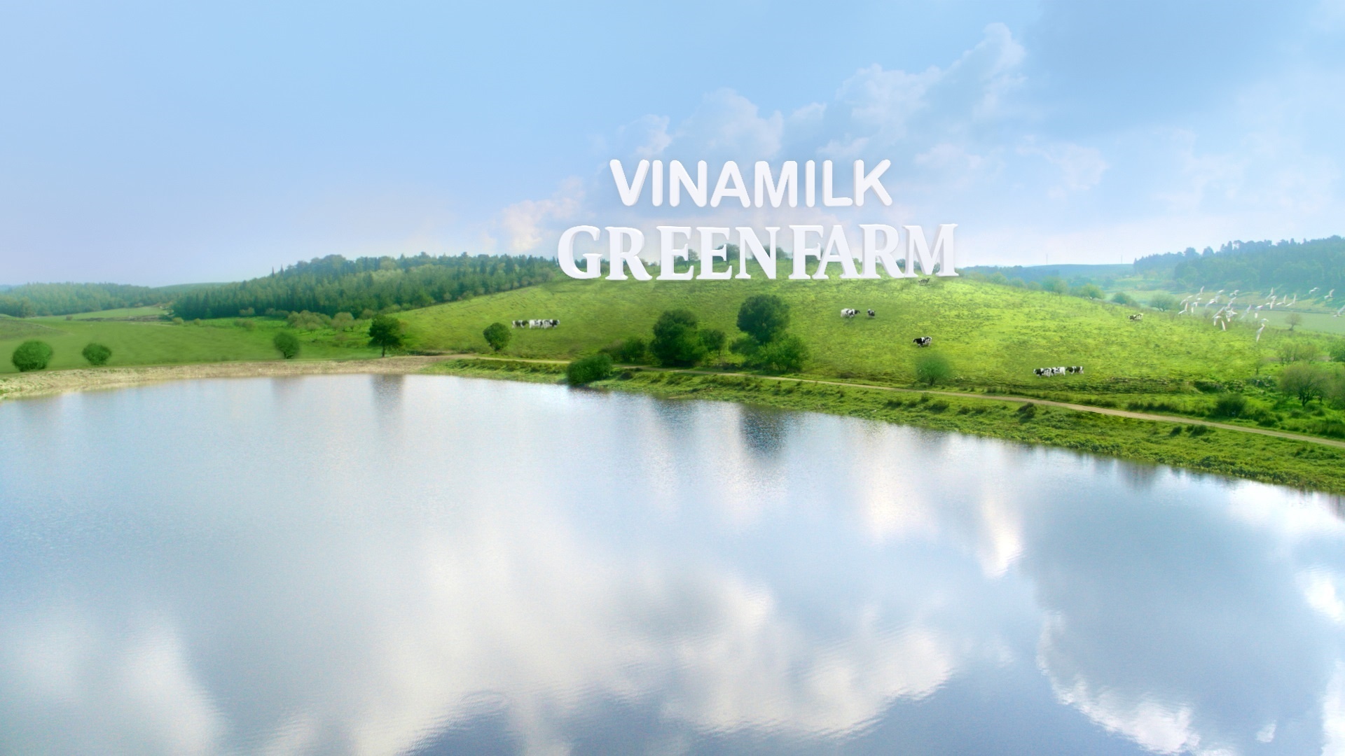 Vinamilk ảnh 14 Vinamilk anh 14