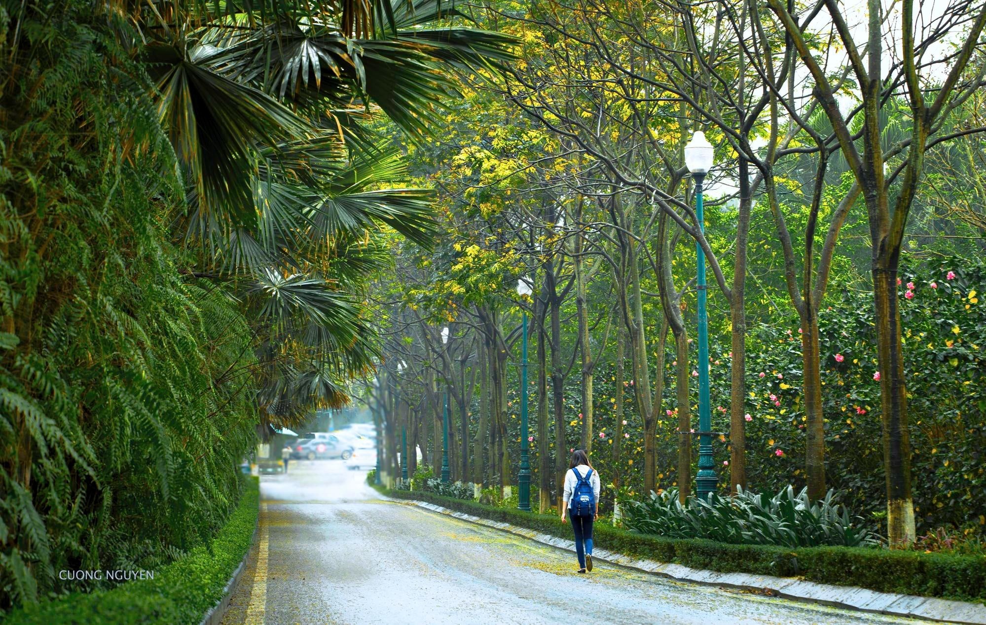 Ecopark,  Ecopark Marathon anh 3