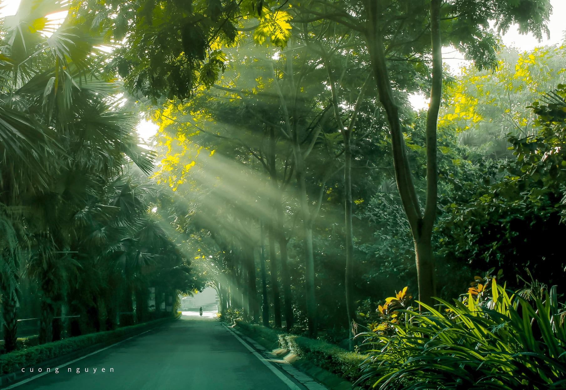 Ecopark,  Ecopark Marathon anh 12