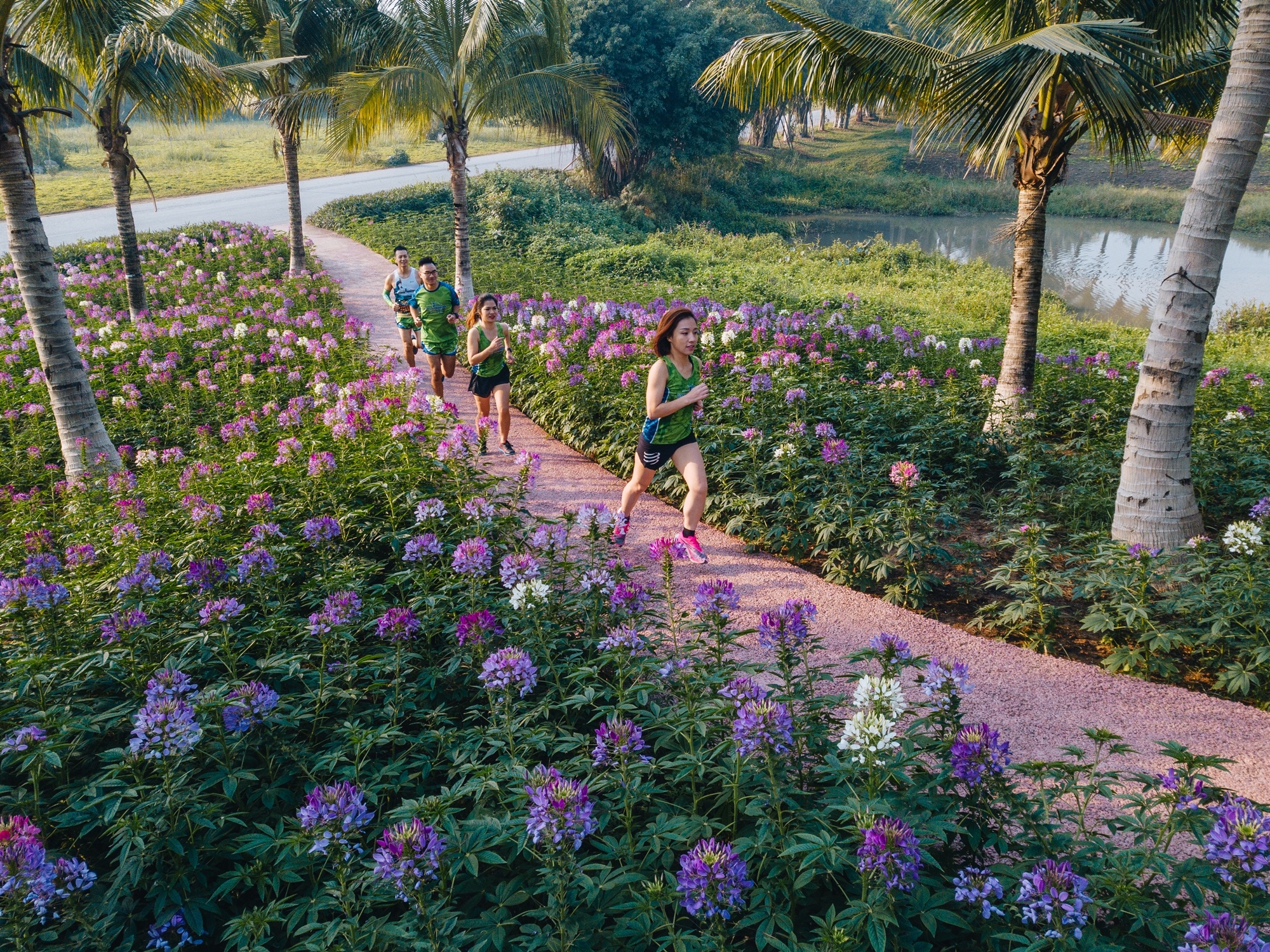 Cung duong chay giua thien nhien cua Ecopark Marathon 2021 hinh anh