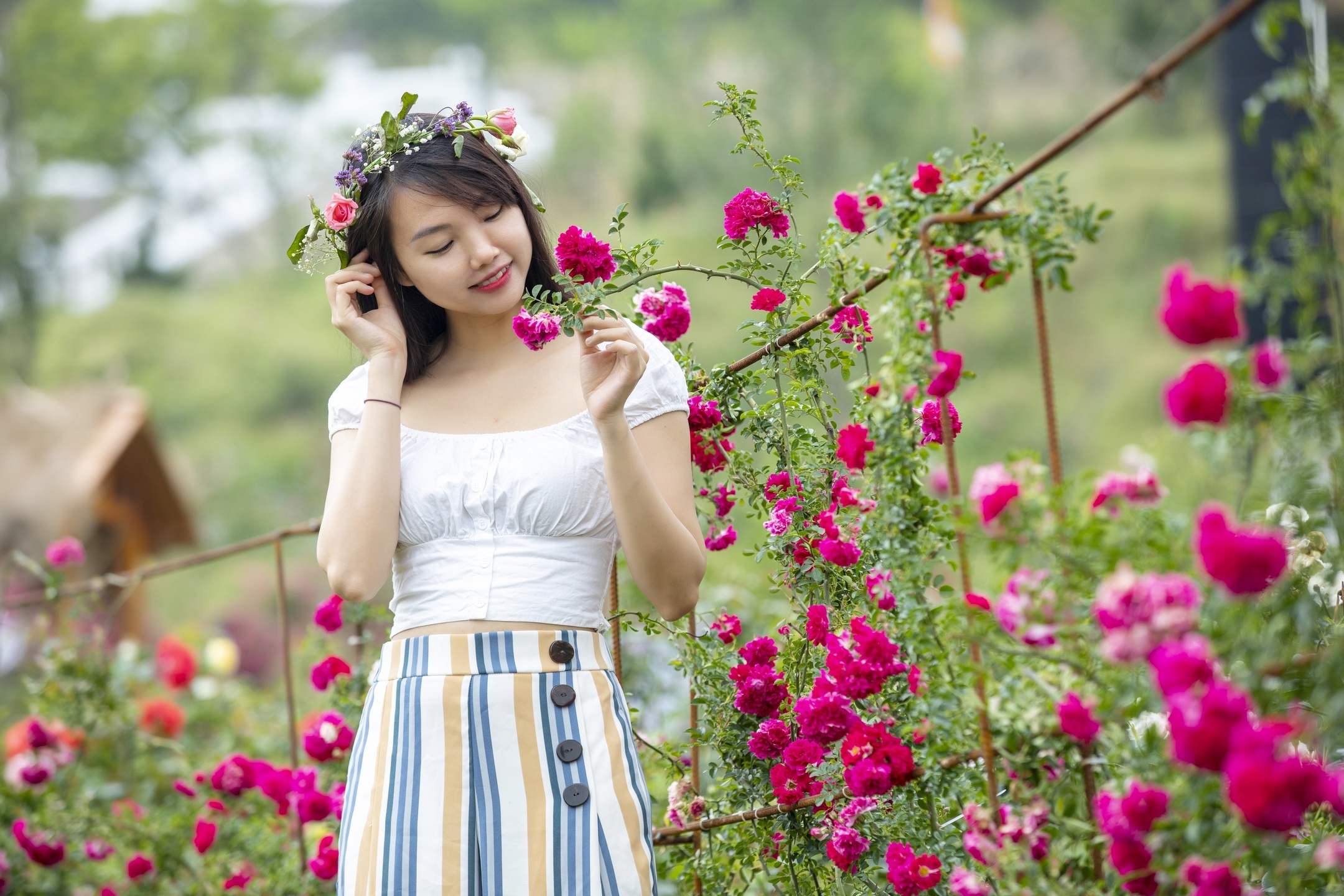 cap treo Fansipan,  Sun World Fansipan Legend anh 2