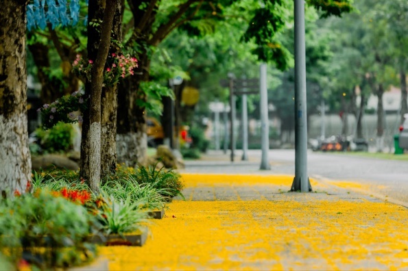 Ecopark,  Ecopark Marathon anh 11