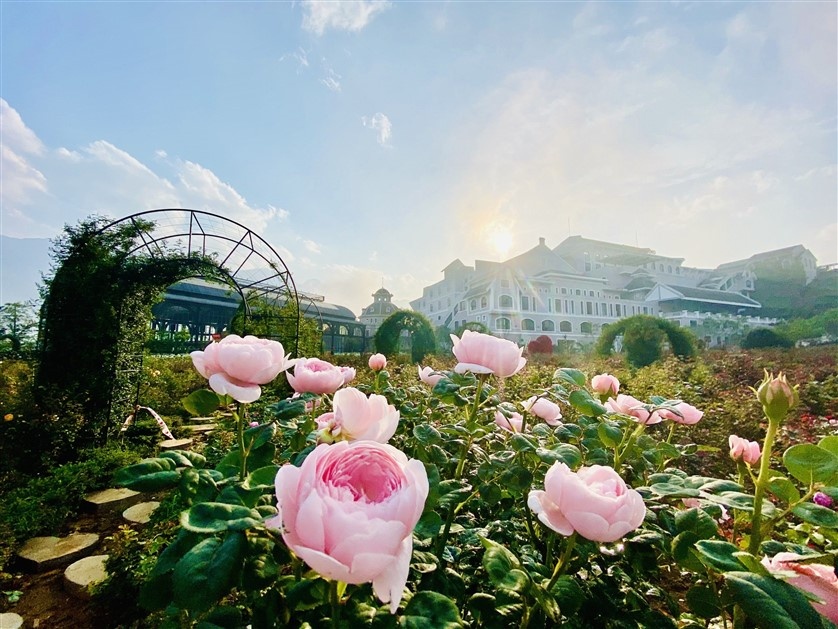 Sun Group ảnh 4 Sun Group anh 4