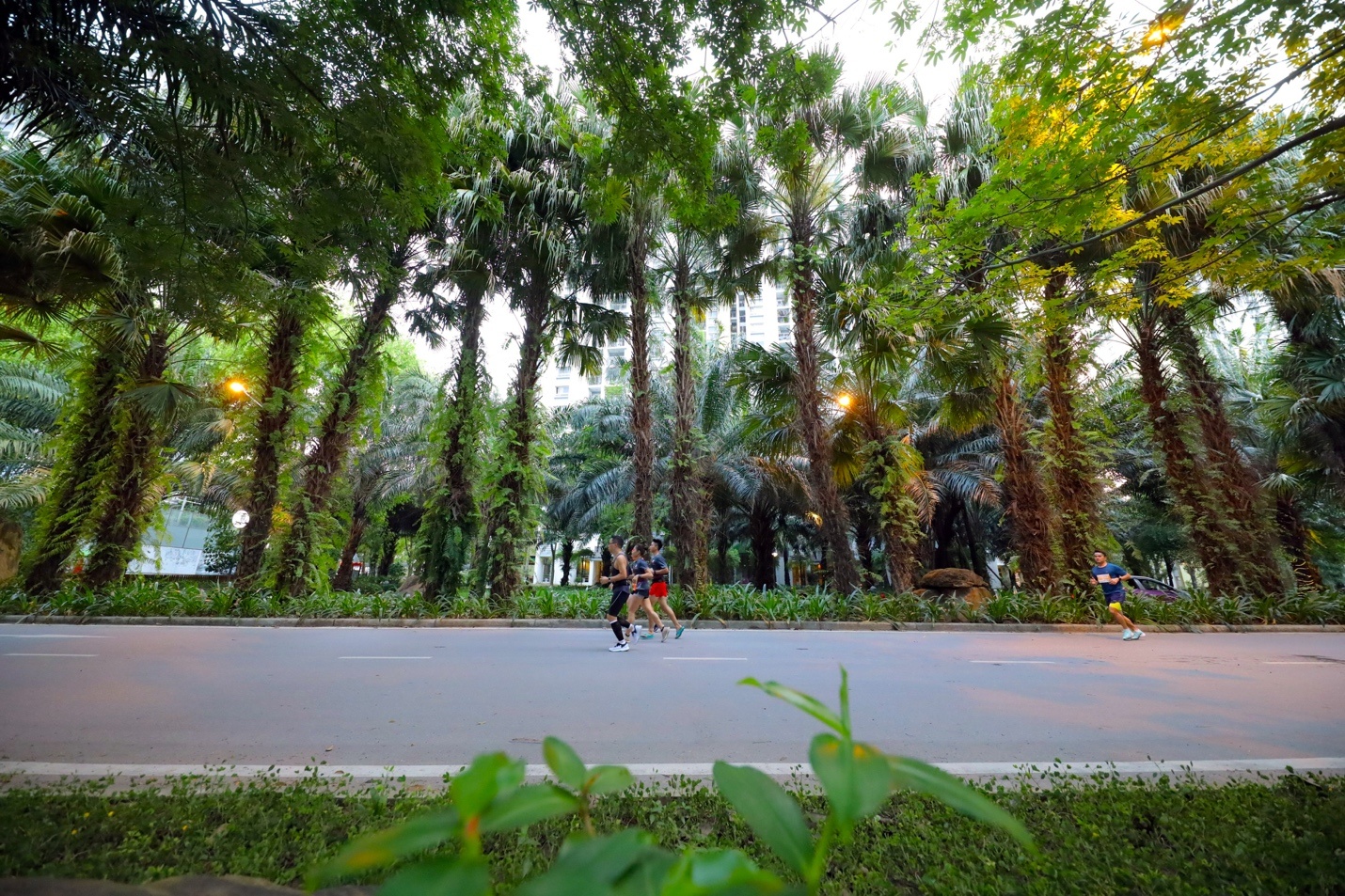 Ecopark,  Ecopark Marathon anh 8