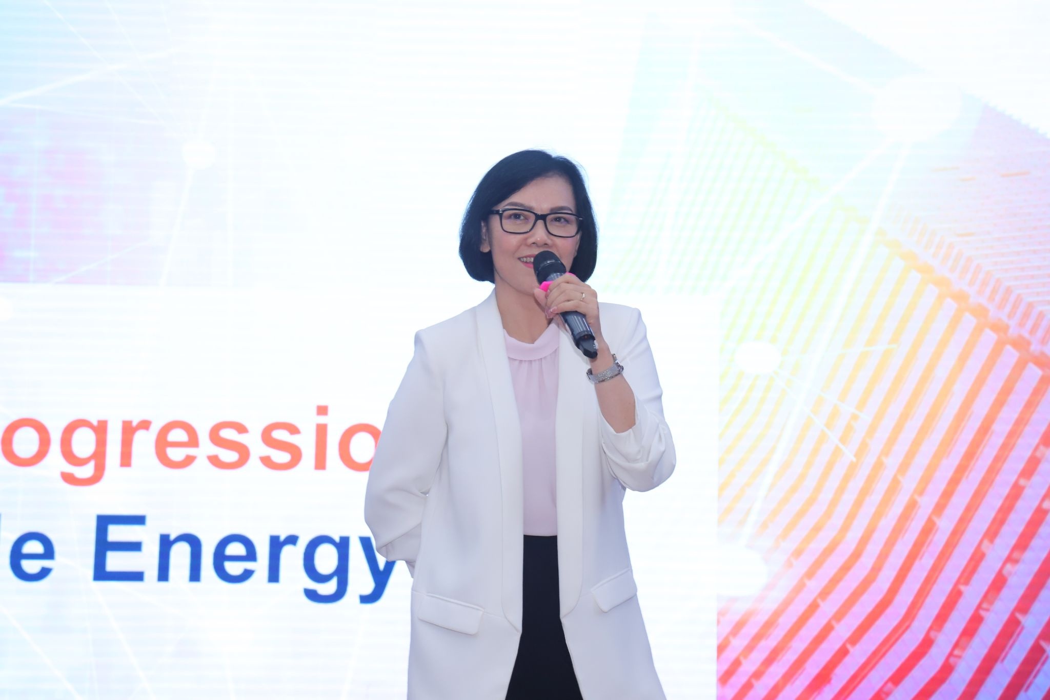 dự án EVEF,  GIZ ảnh 5 du an EVEF,  GIZ anh 5