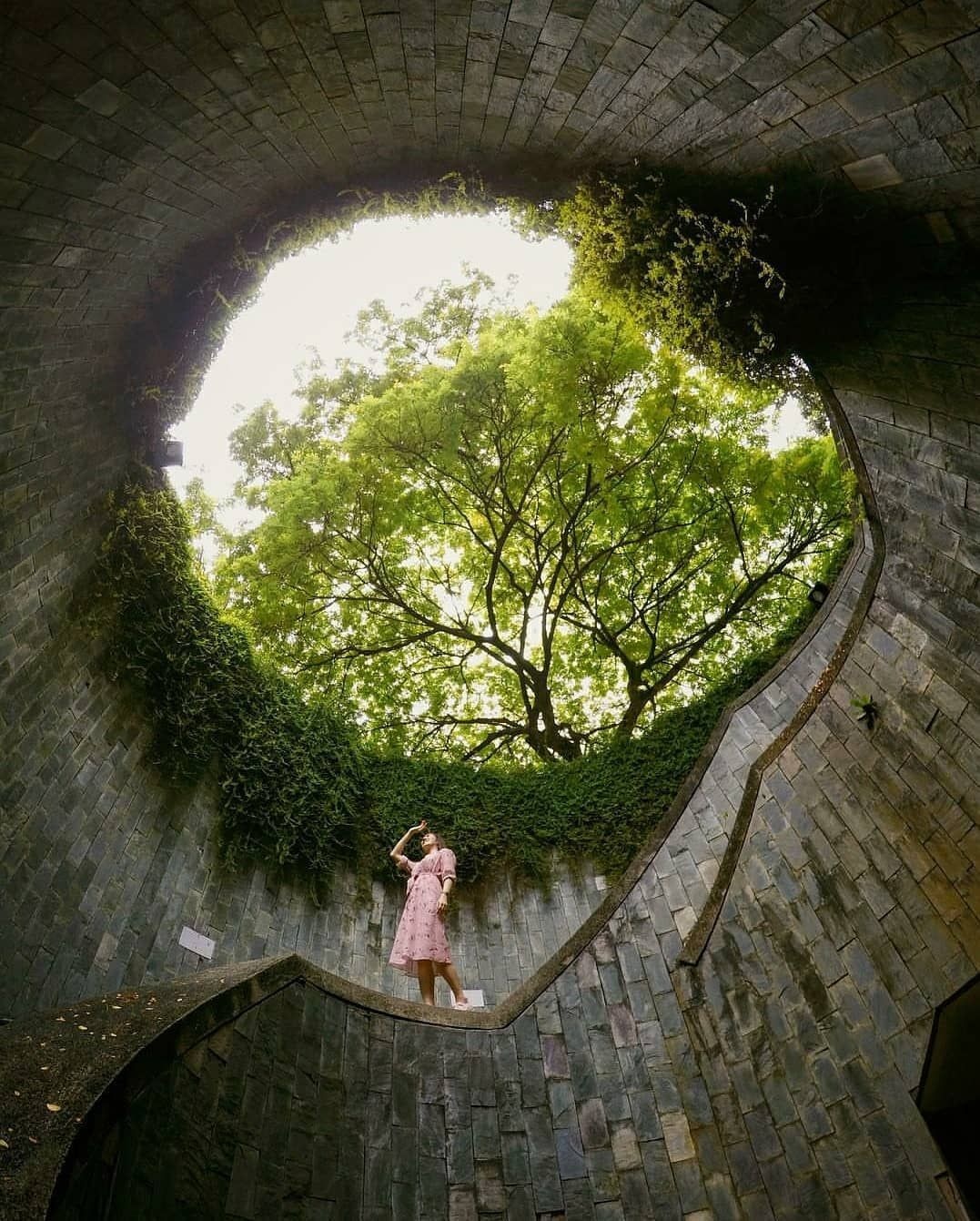 SingapoReimage ảnh 13 SingapoReimage anh 13