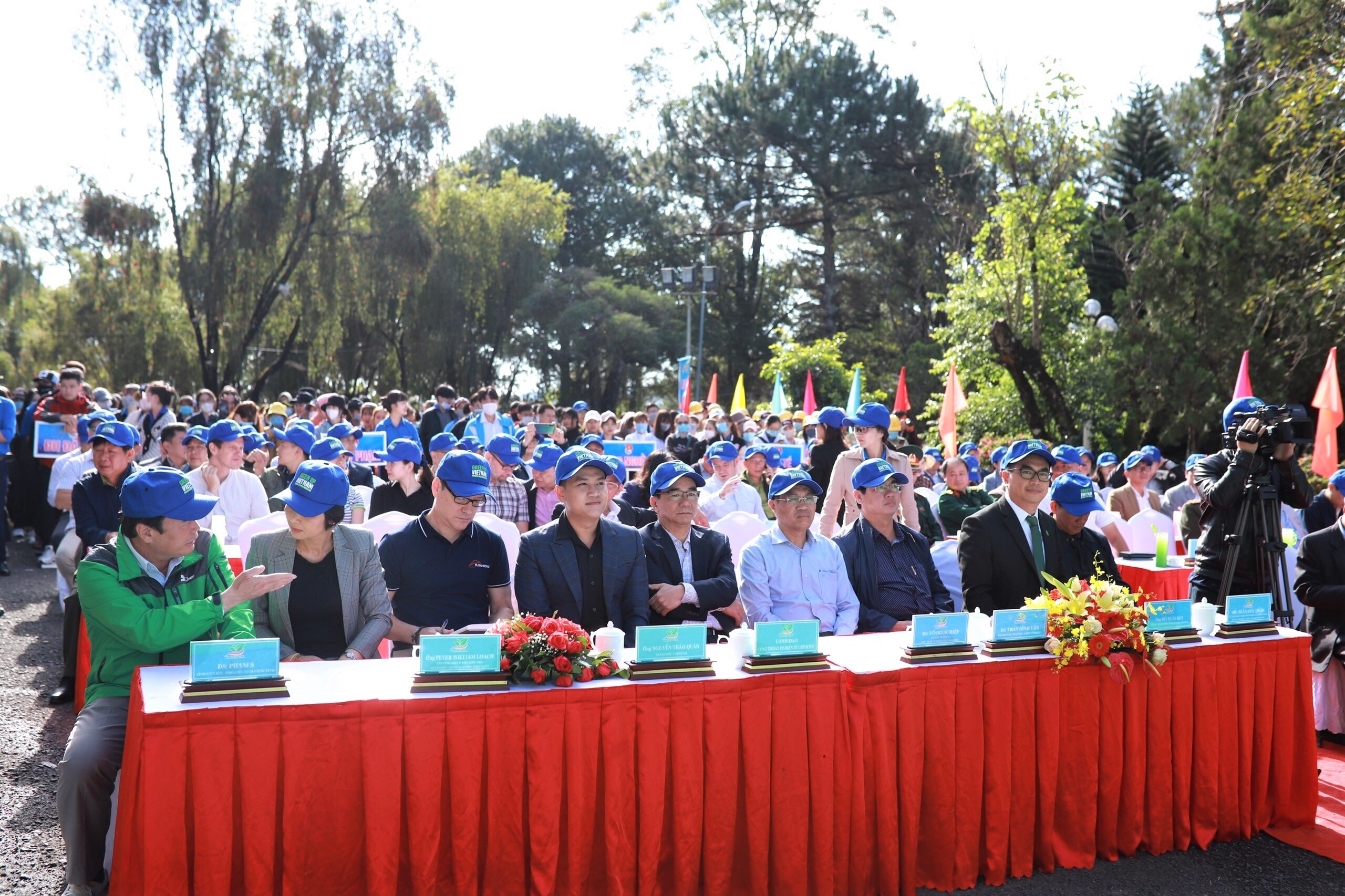 trồng cây,  Lâm Đồng ảnh 3 trong cay,  Lam Dong anh 3