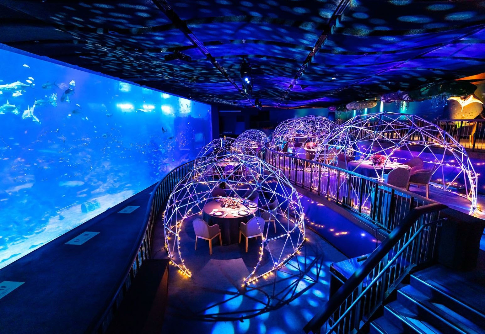 SingapoReimage ảnh 2 SingapoReimage anh 2