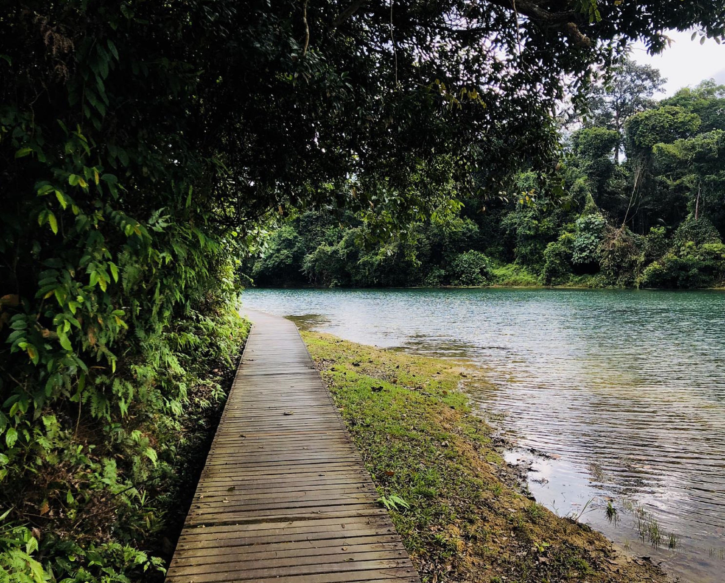 SingapoReimage ảnh 8 SingapoReimage anh 8