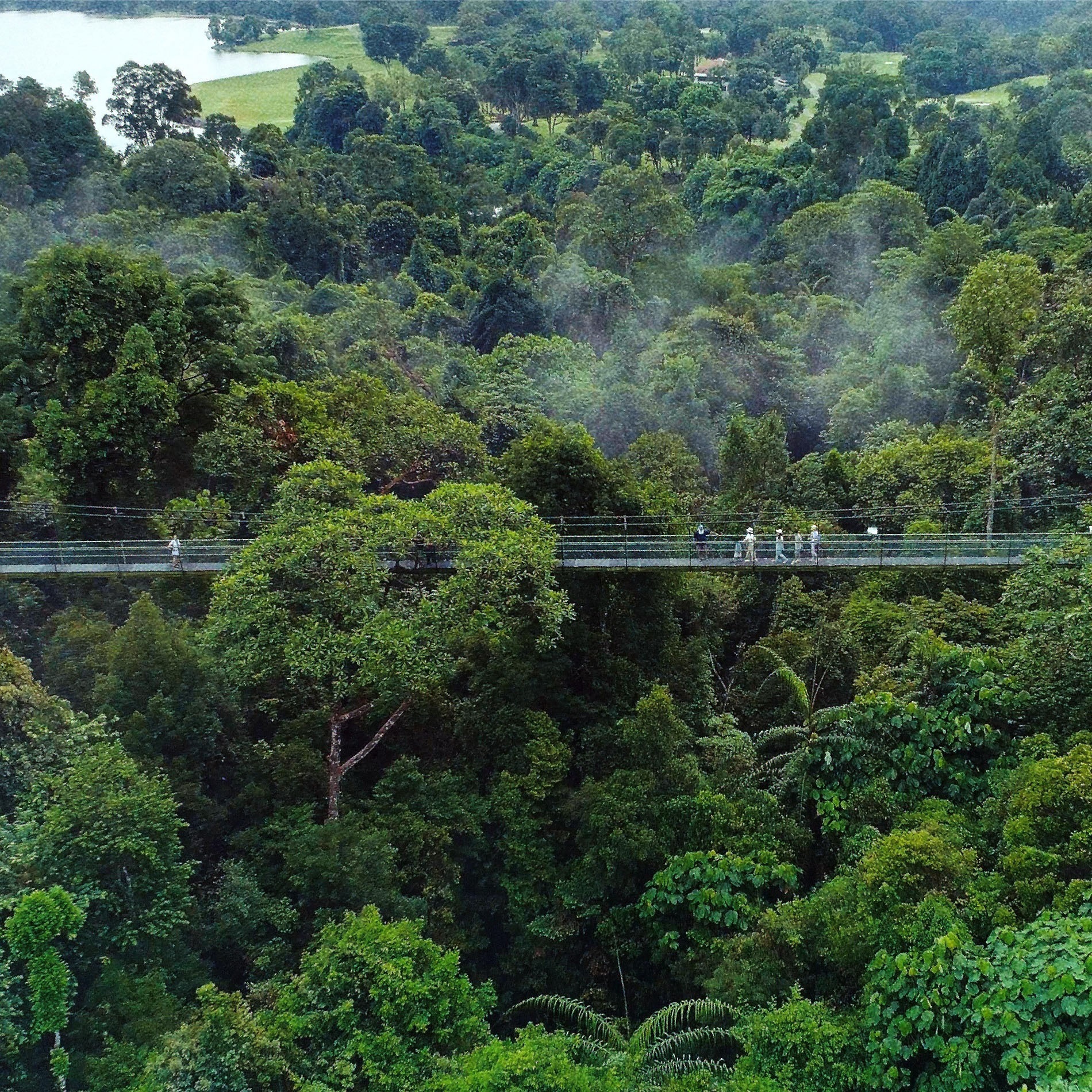 SingapoReimage ảnh 9 SingapoReimage anh 9