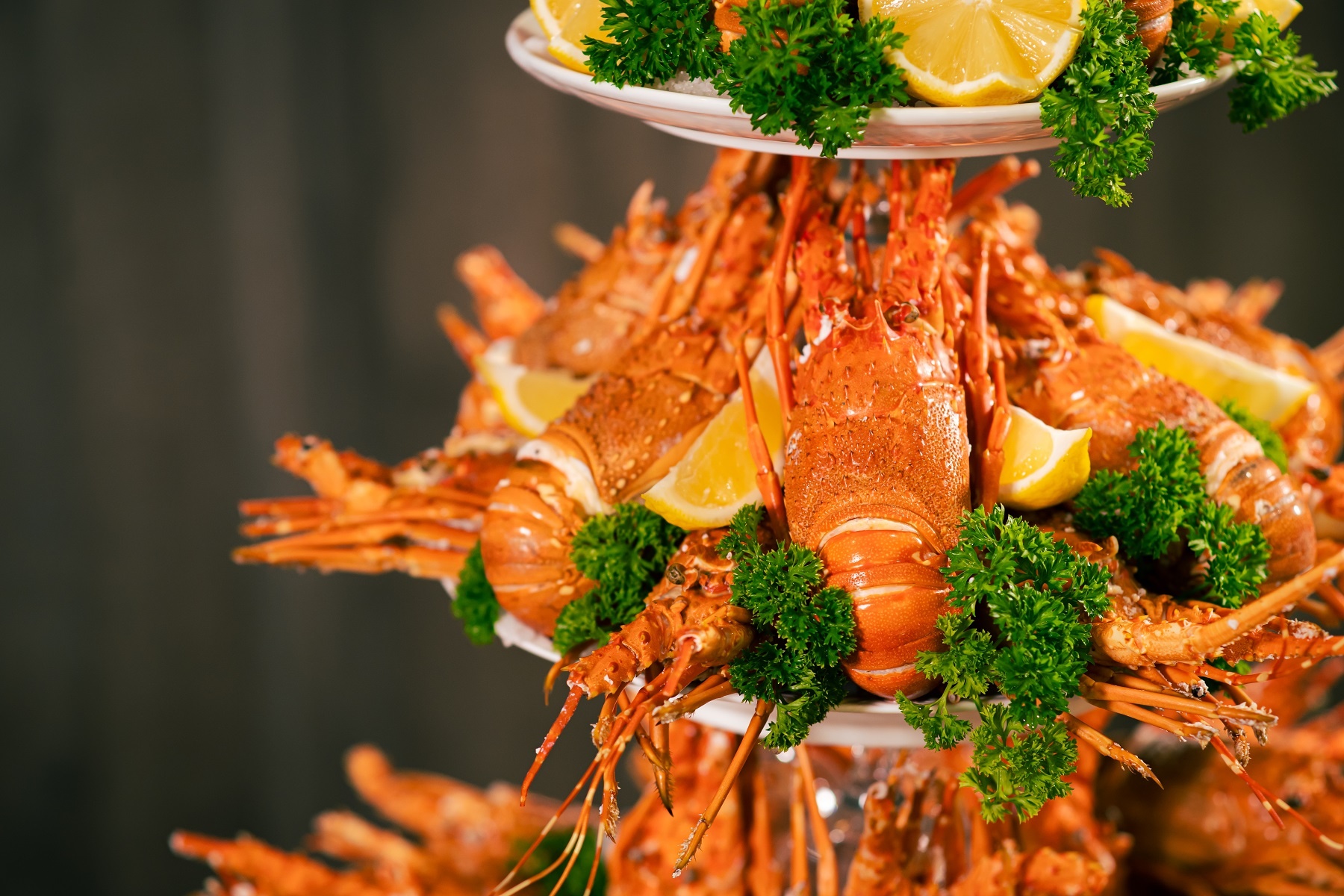 du thuyen Ambassador anh 1