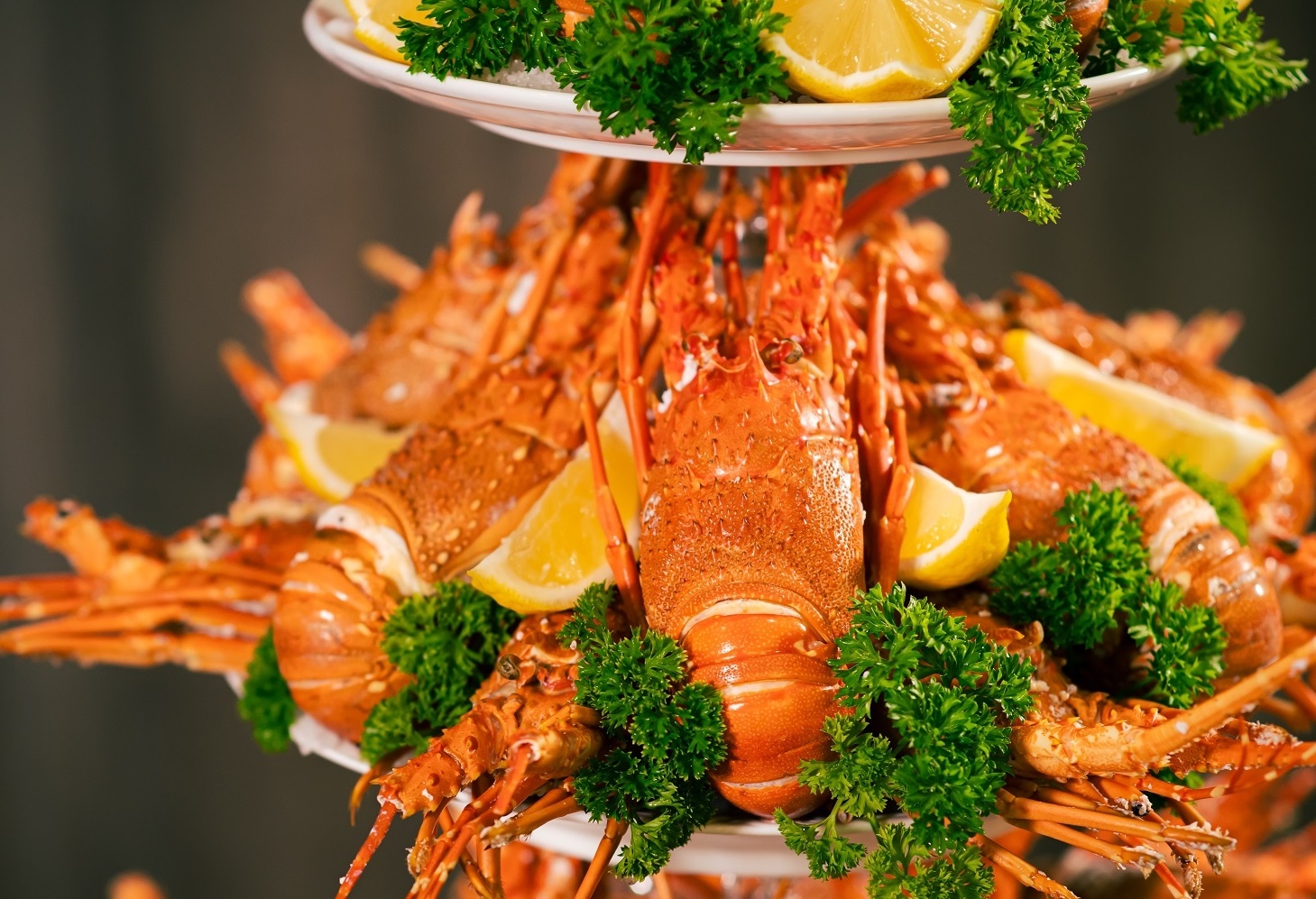 Thuong thuc tom hum khong gioi han tren du thuyen Ambassador hinh anh