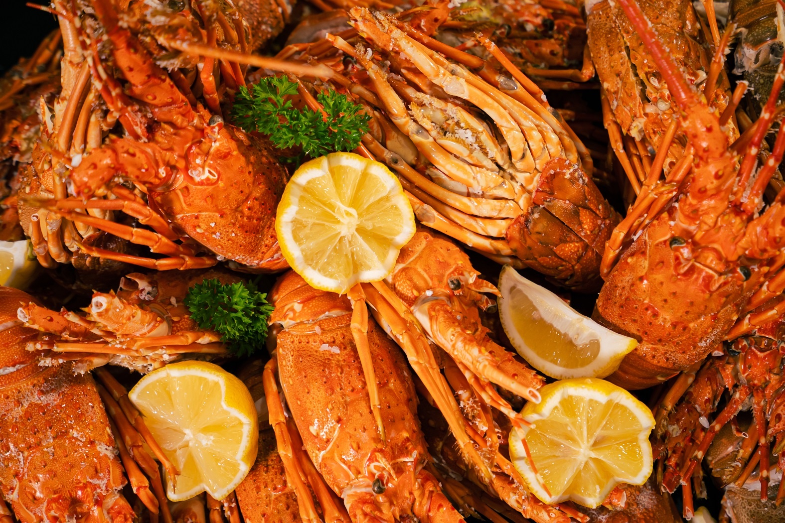 du thuyen Ambassador anh 2