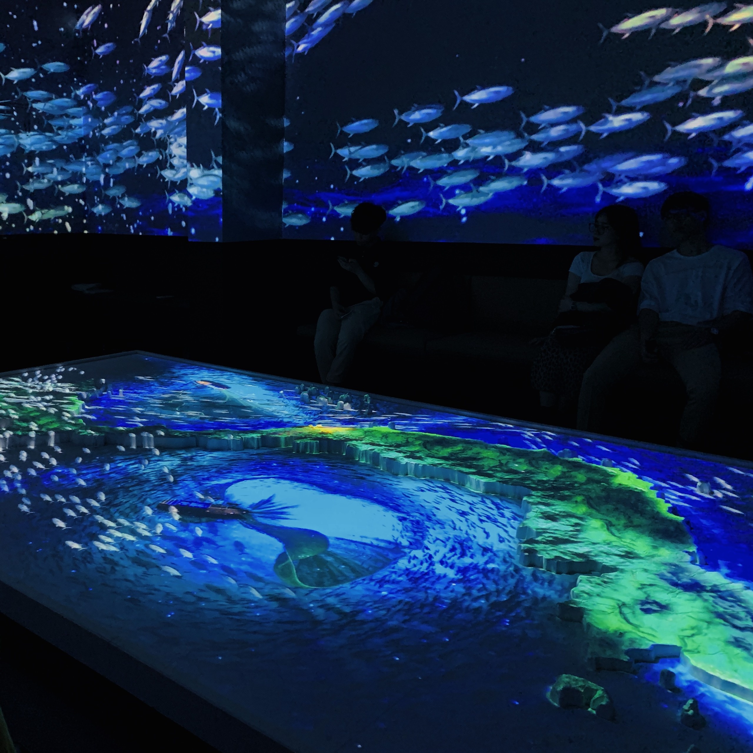 Thien Duong Bao Son anh 6