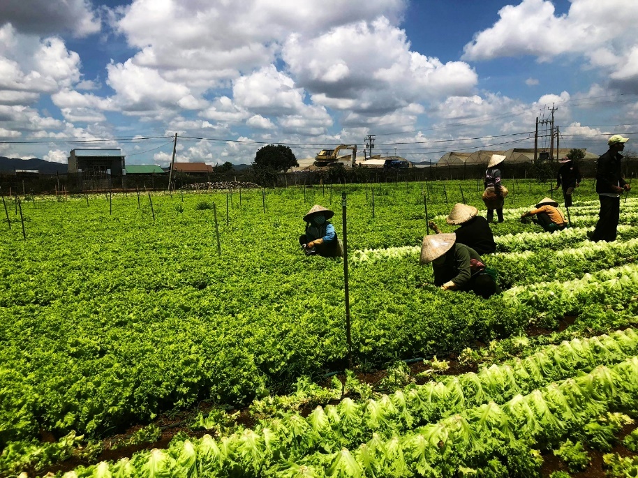 MM Mega Market,  Chung nhan ISO 22000:2018 anh 4