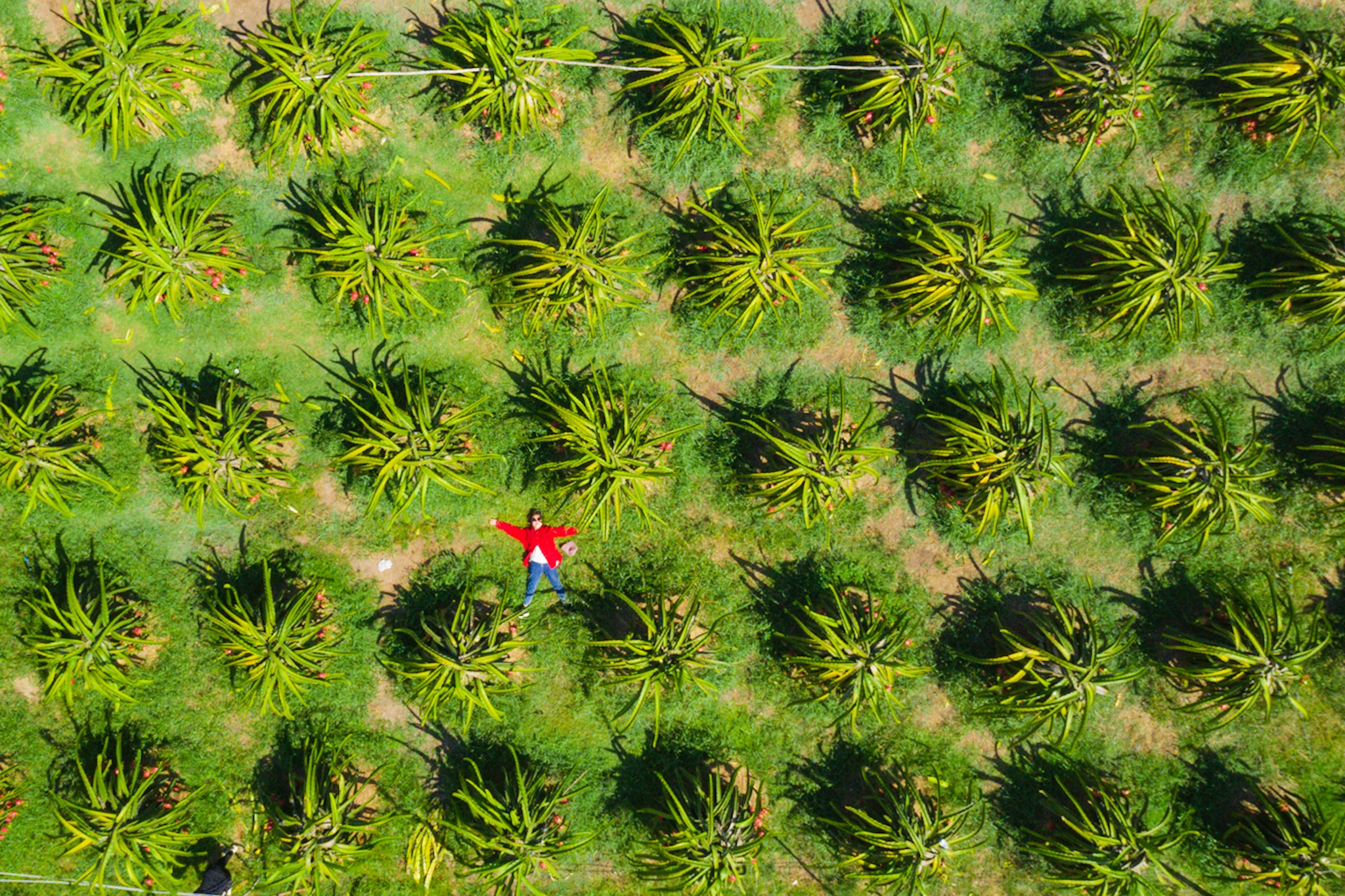 NovaWorld Phan Thiet,  NovaHills Phan Thiet anh 6