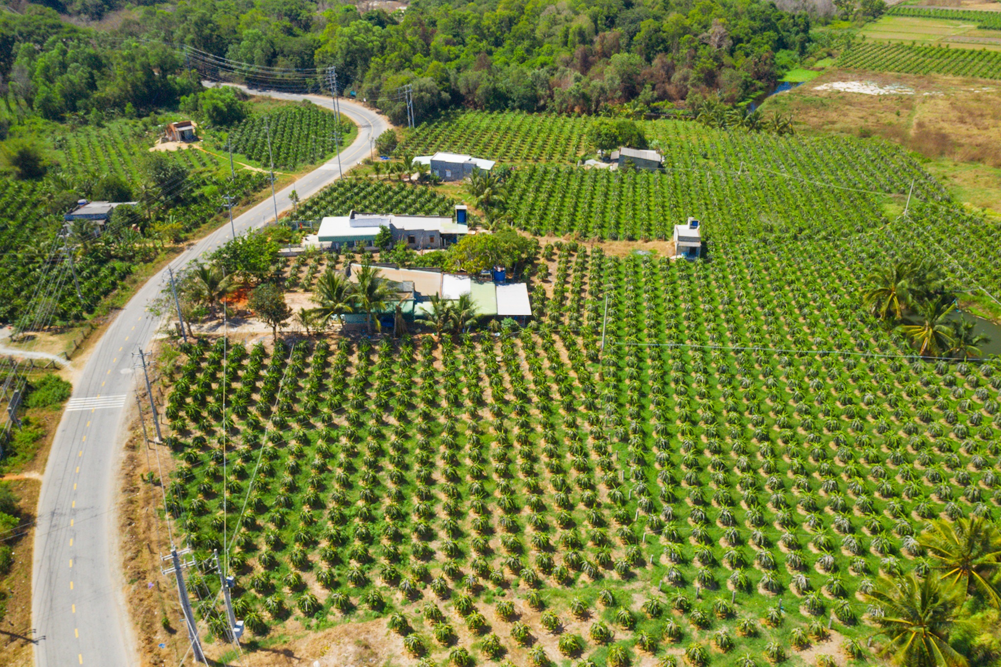 NovaWorld Phan Thiet,  NovaHills Phan Thiet anh 5