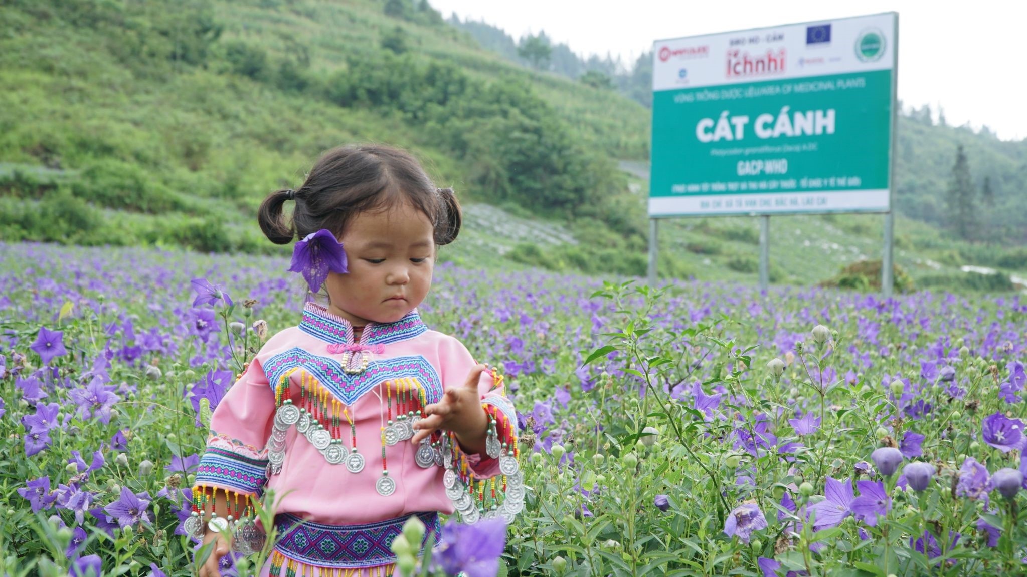 Ích Nhi ảnh 2 Ich Nhi anh 2